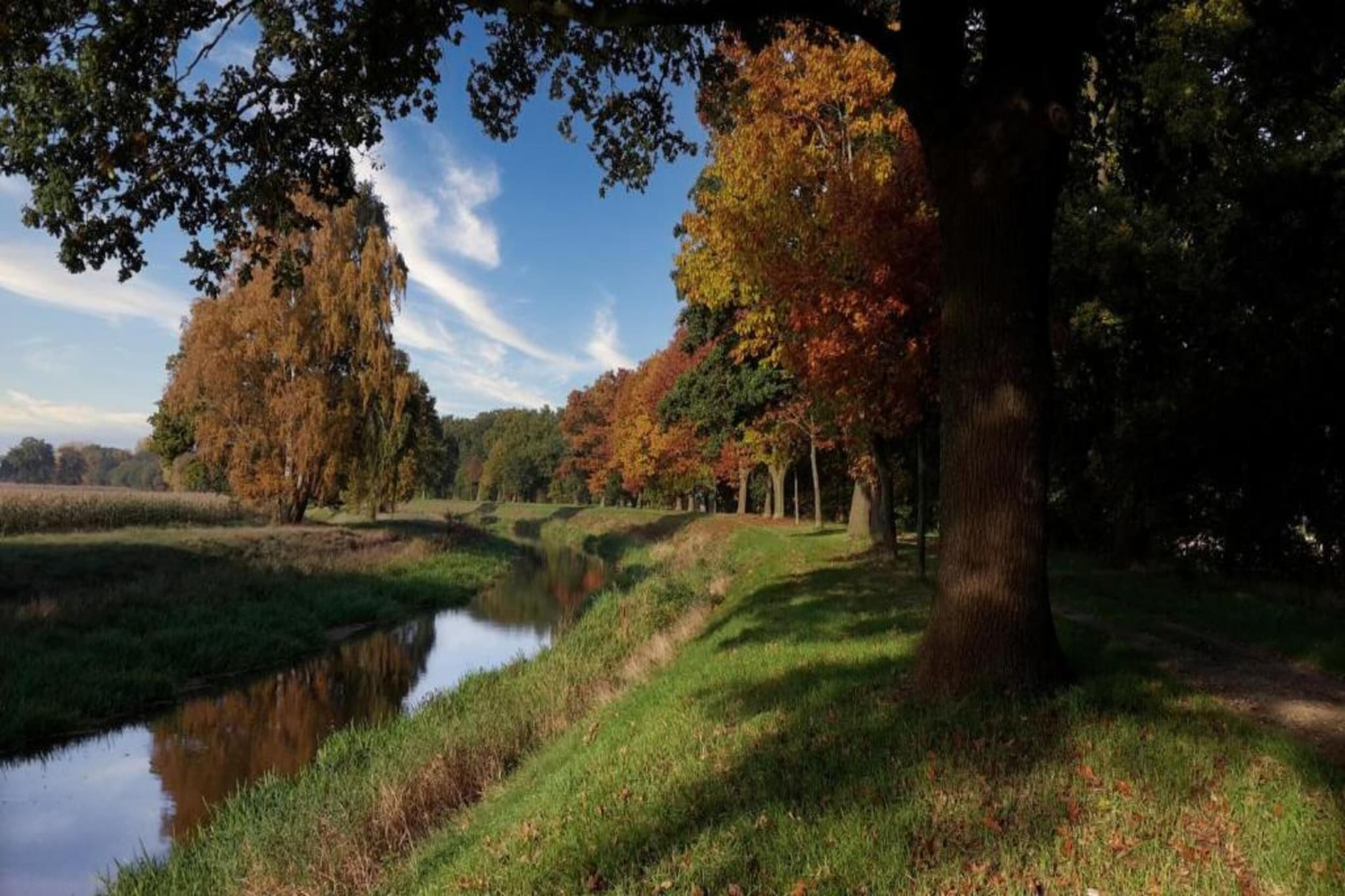 Boschhuys-Gebiete Sommer 20 km