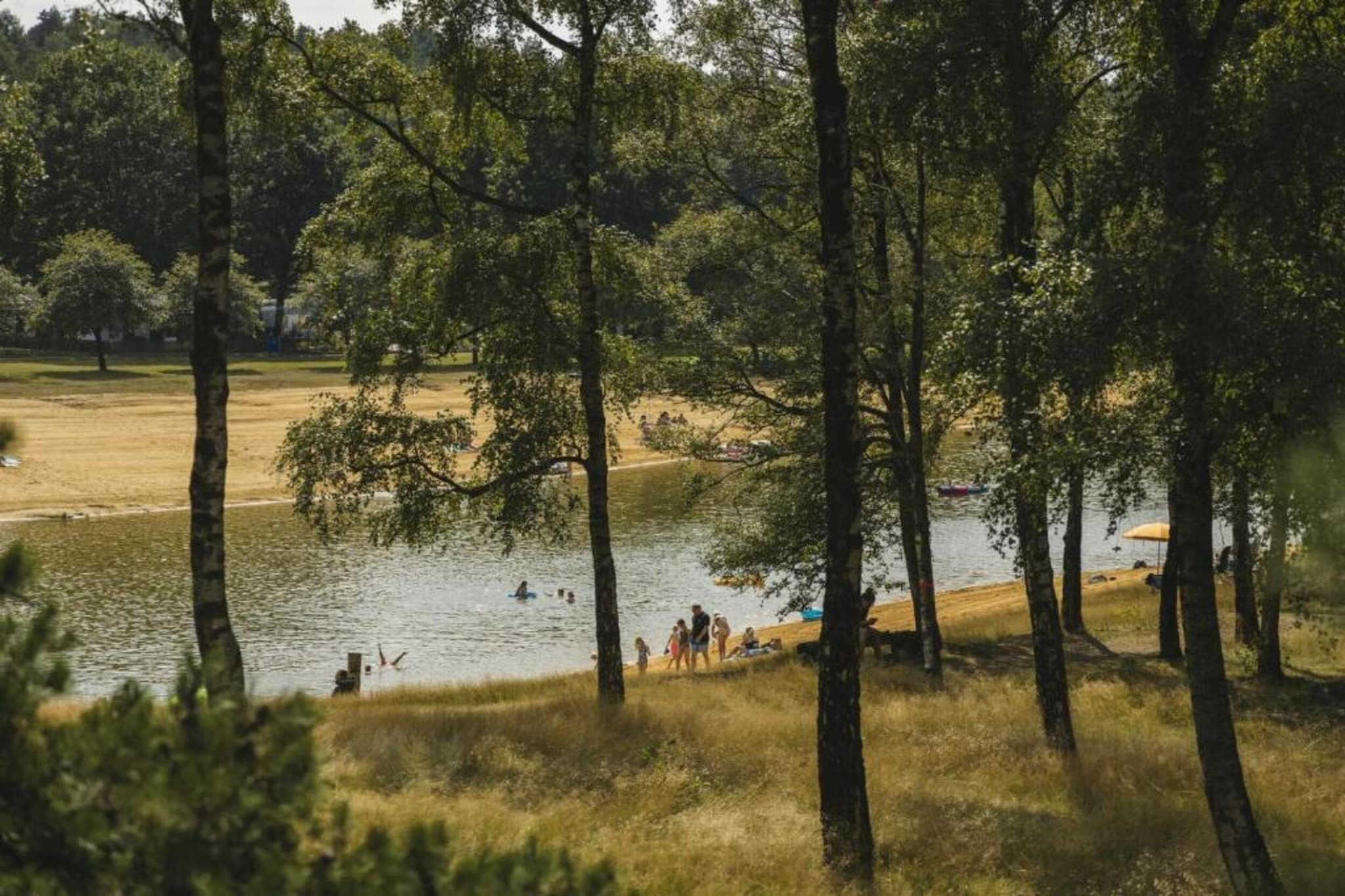 Boschhuys-Gebiete Sommer 20 km