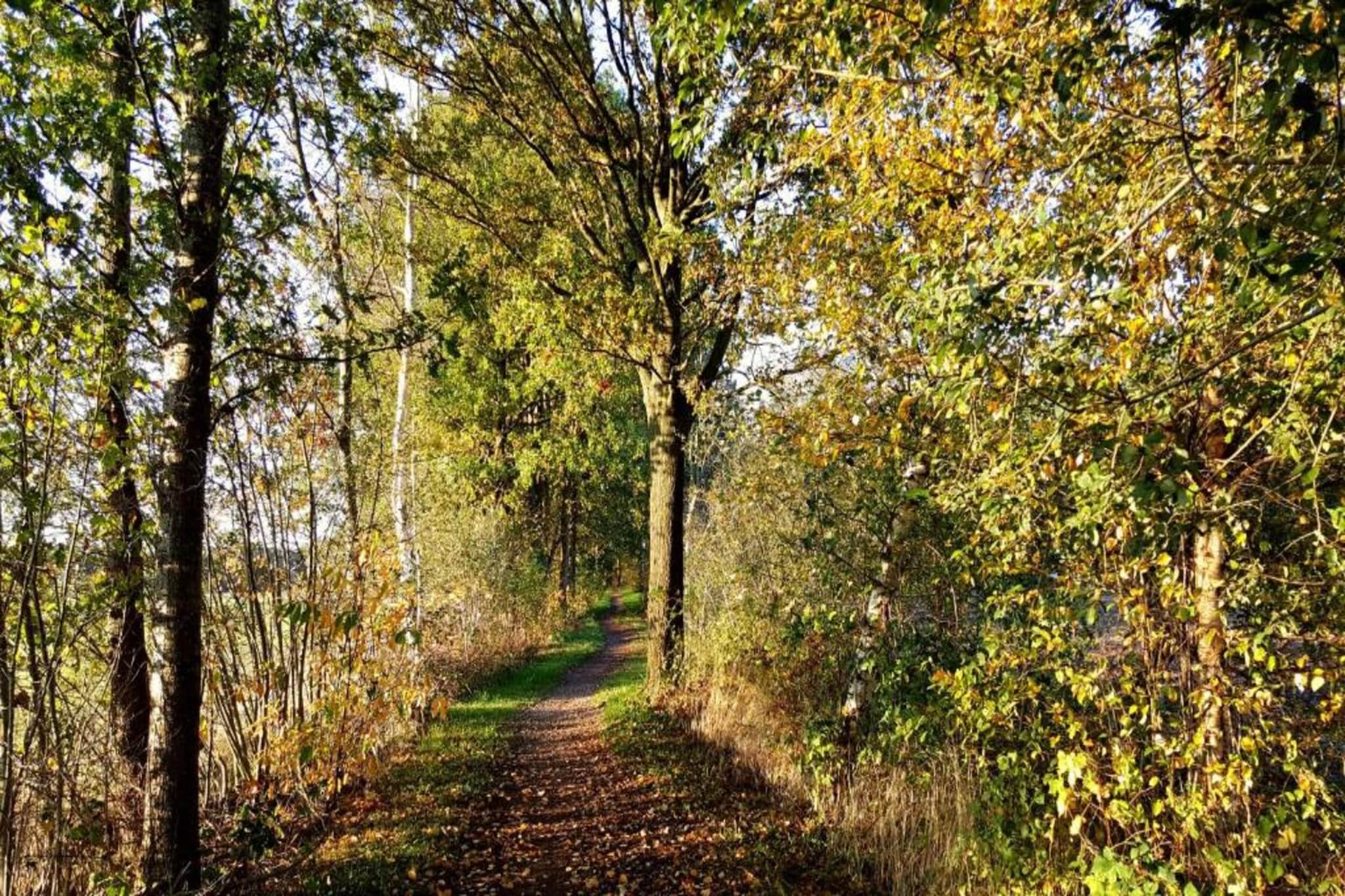 Boschhuys-Gebiete Sommer 20 km