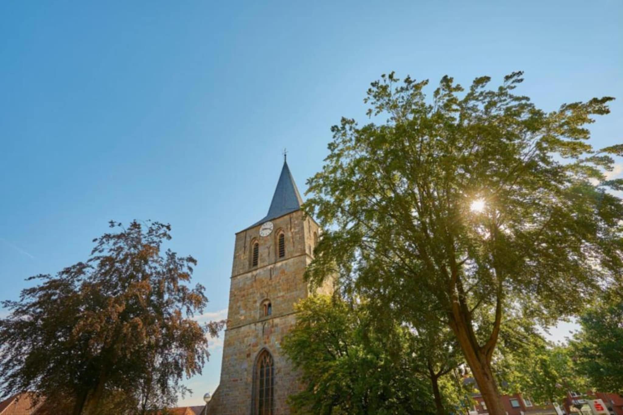 Boschhuys-Gebiete Sommer 20 km