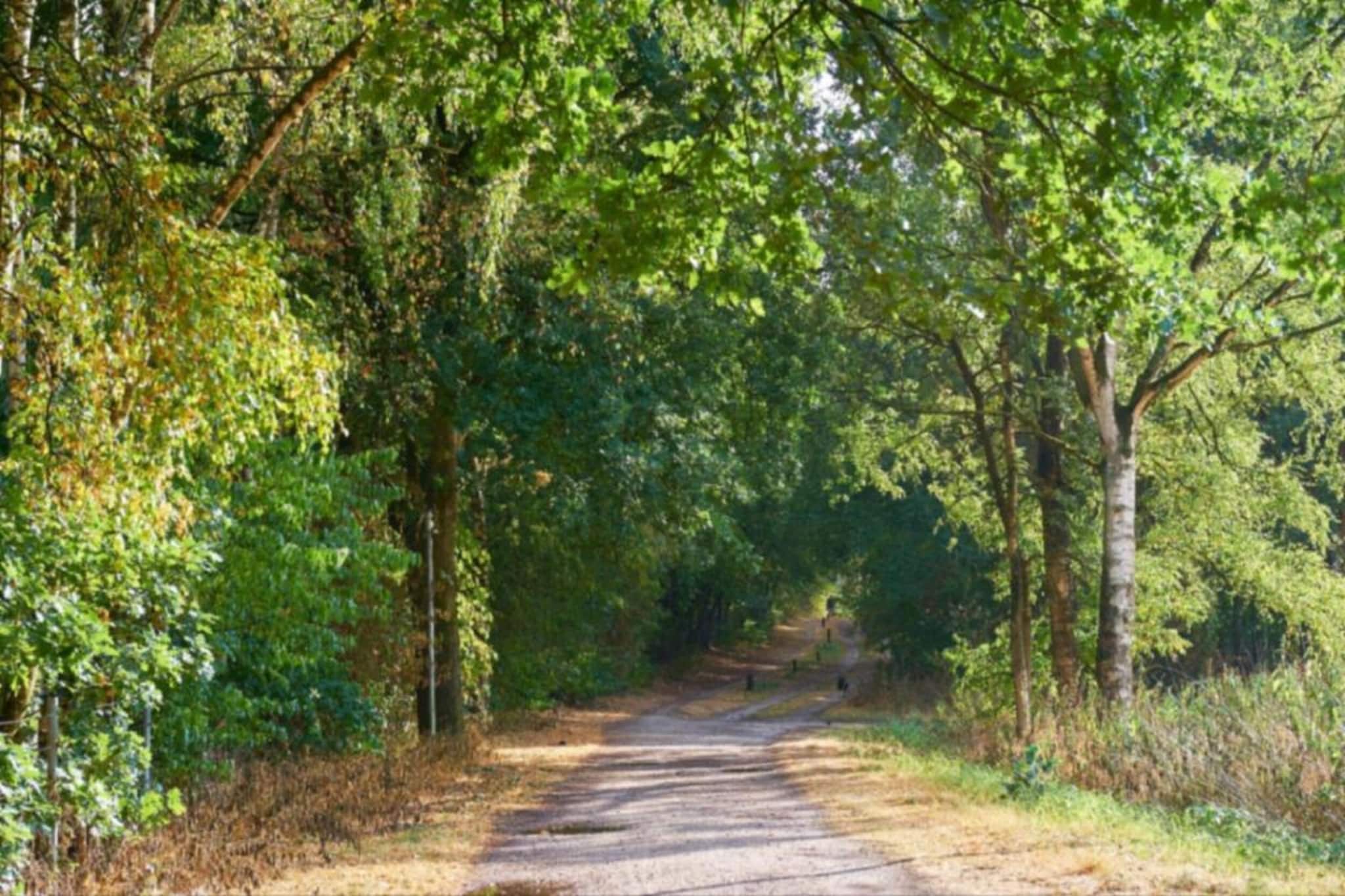 Boschhuys-Gebiete Sommer 20 km