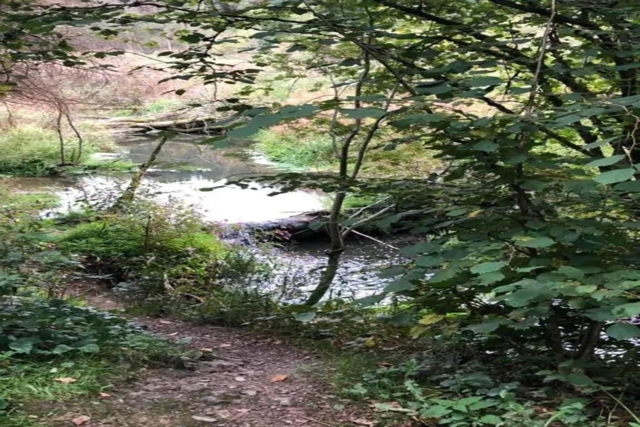 Névada pour cinq-Gebieden zomer 20km