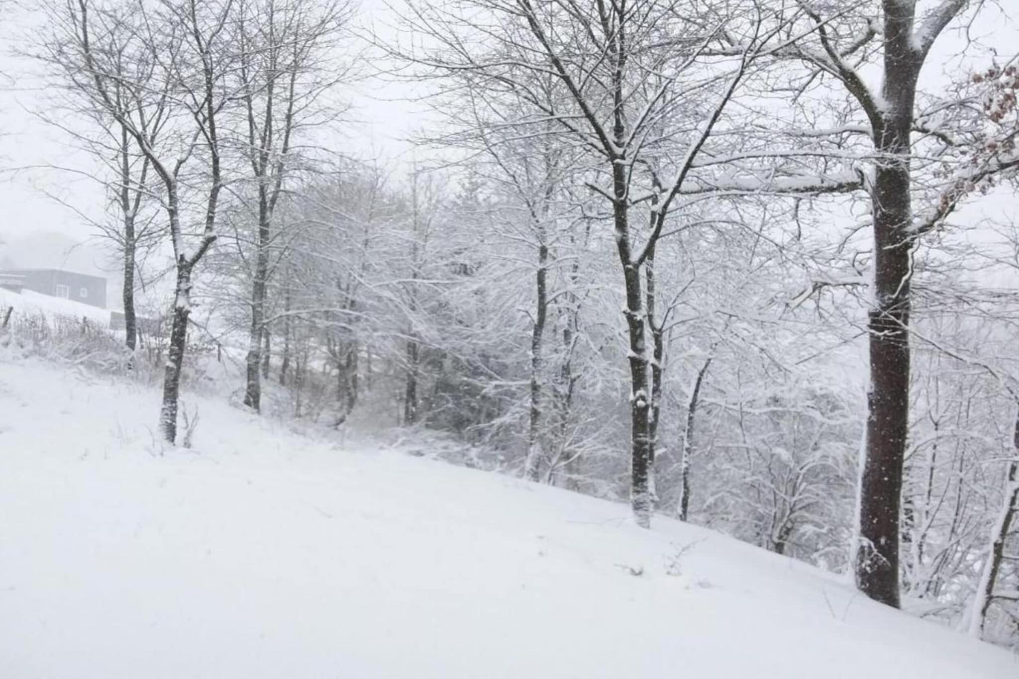 Névada pour cinq-Gebied winter 20km