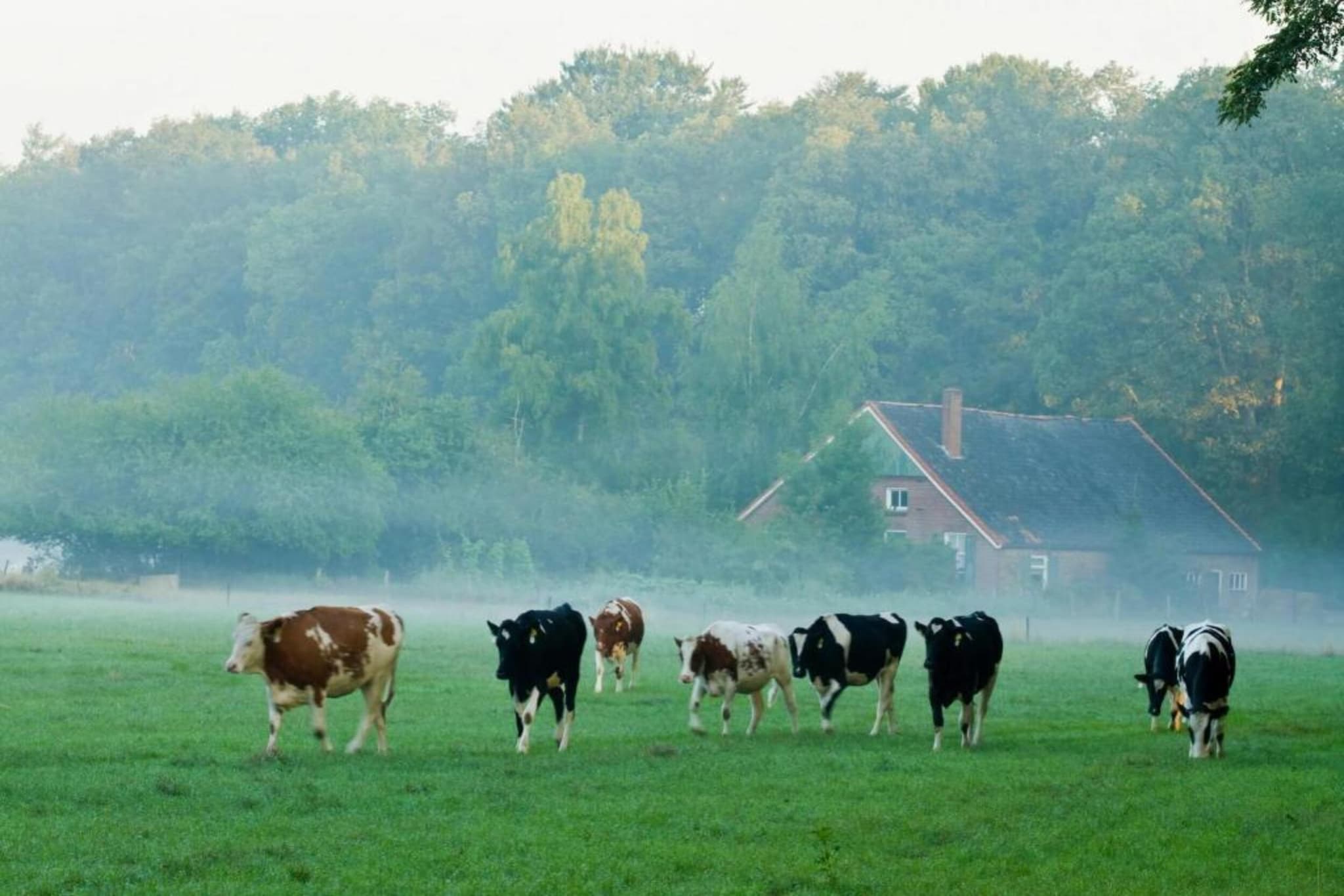 Het Kruisselt-Gebieden zomer 20km