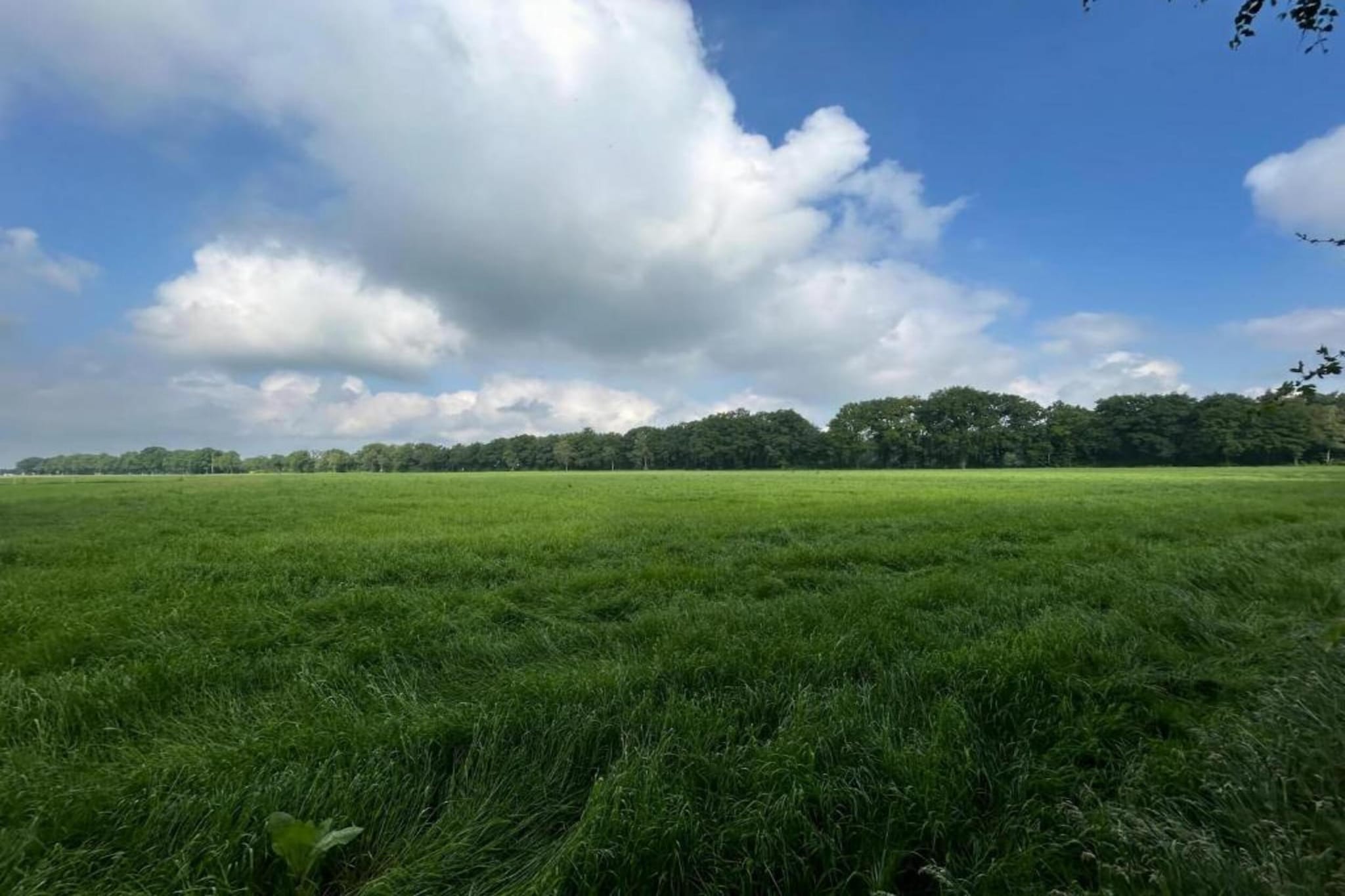 Het Kruisselt-Gebieden zomer 20km