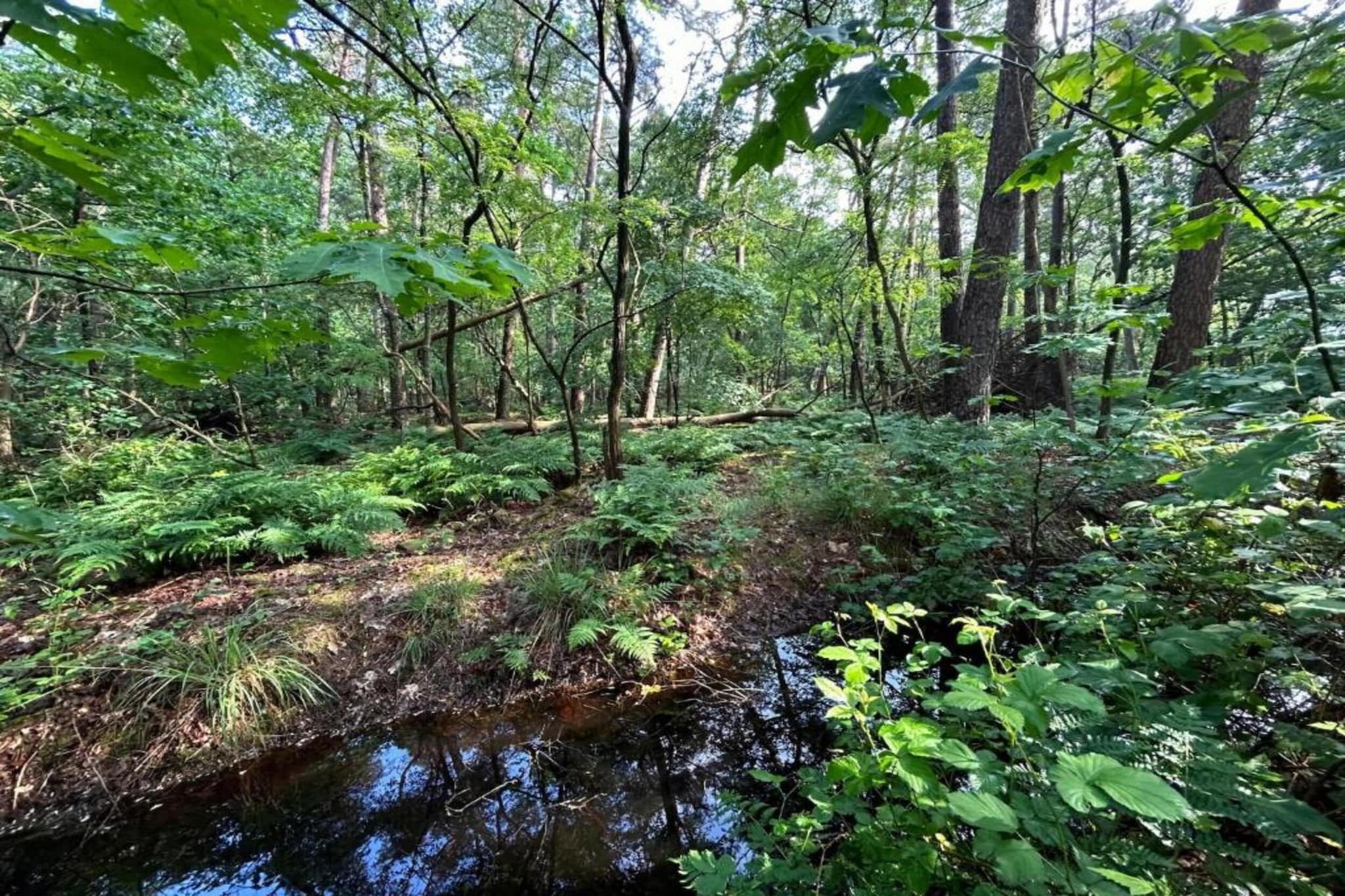Het Kruisselt-Gebieden zomer 20km