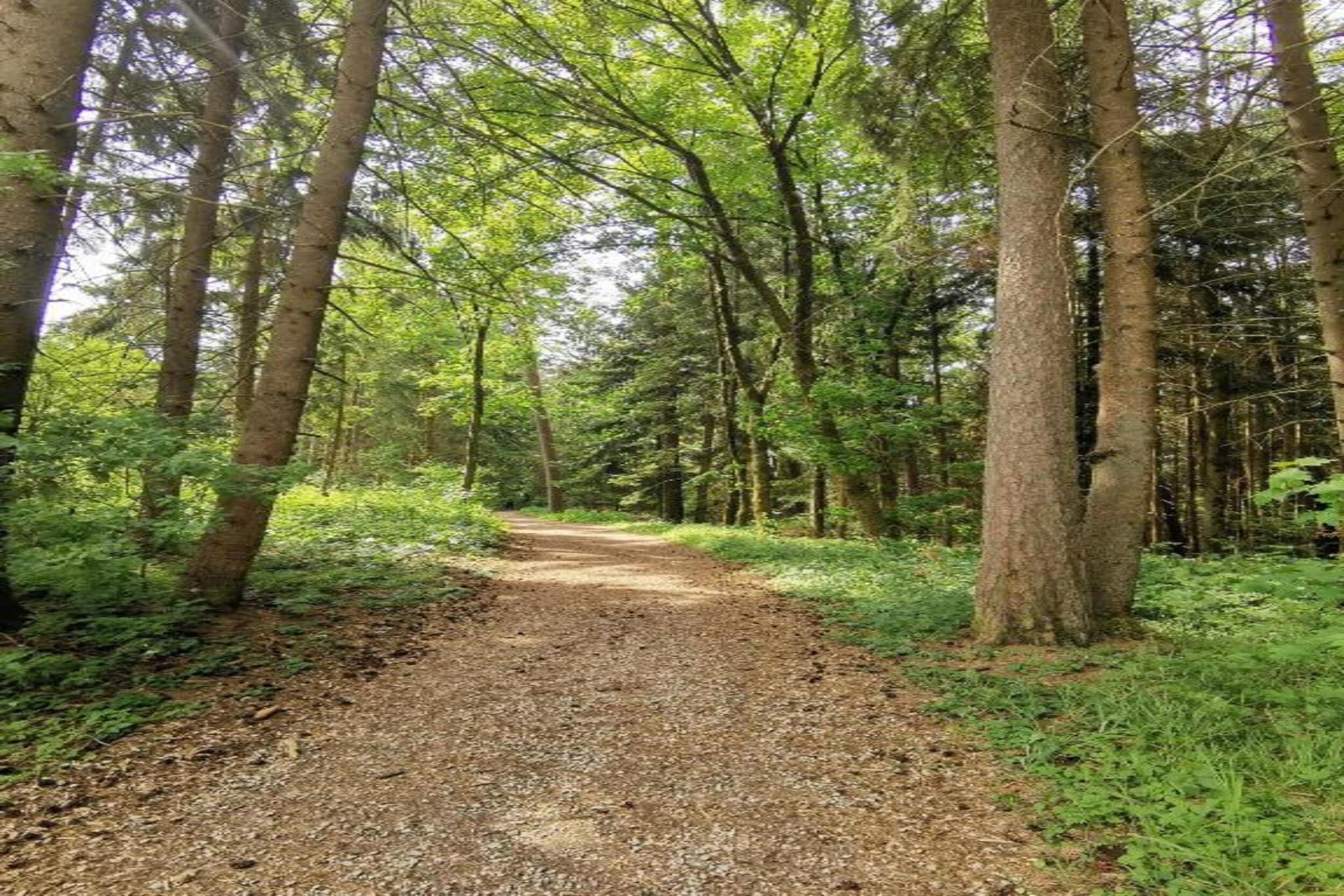 Gütenbach-Areas summer 20km