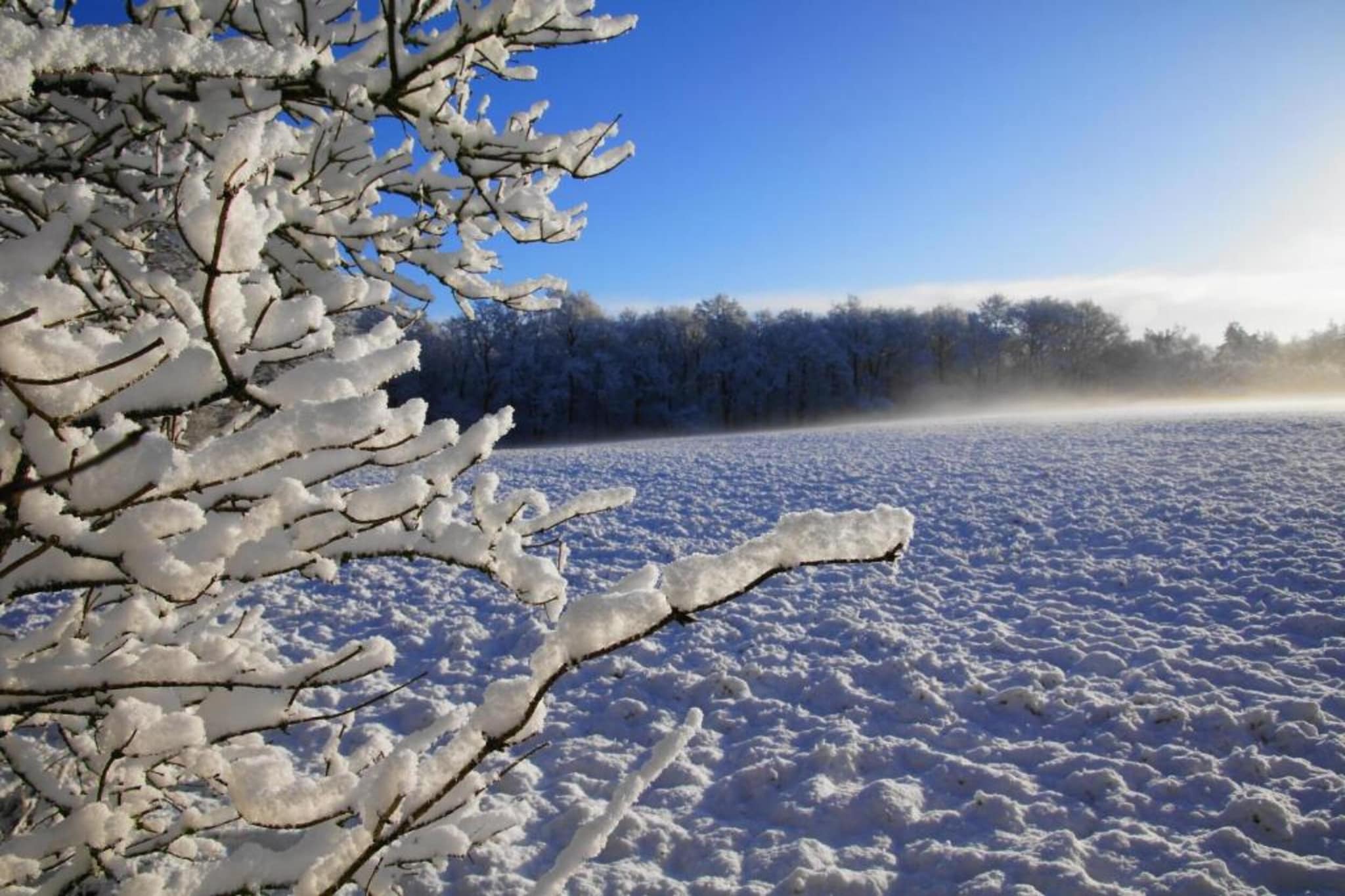 Residence de Eese 11-Gebied winter 20km