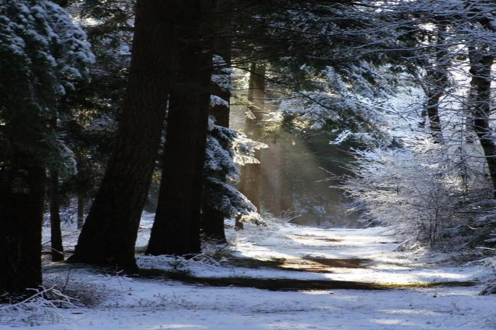 Residence de Eese 11-Gebied winter 20km