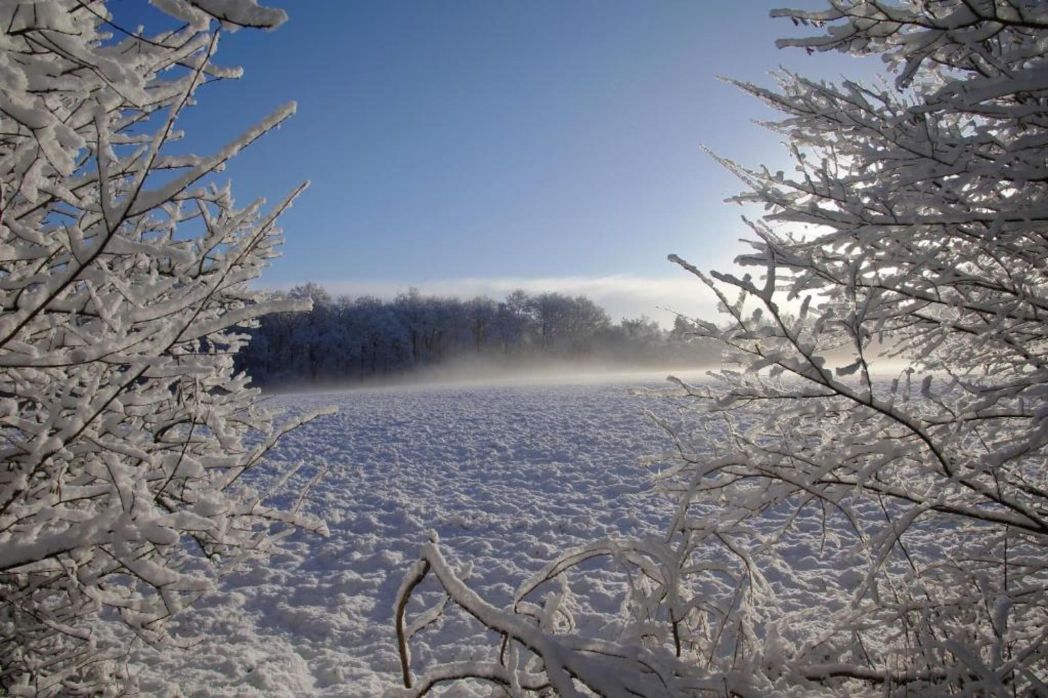 Residence de Eese 11-Gebied winter 20km