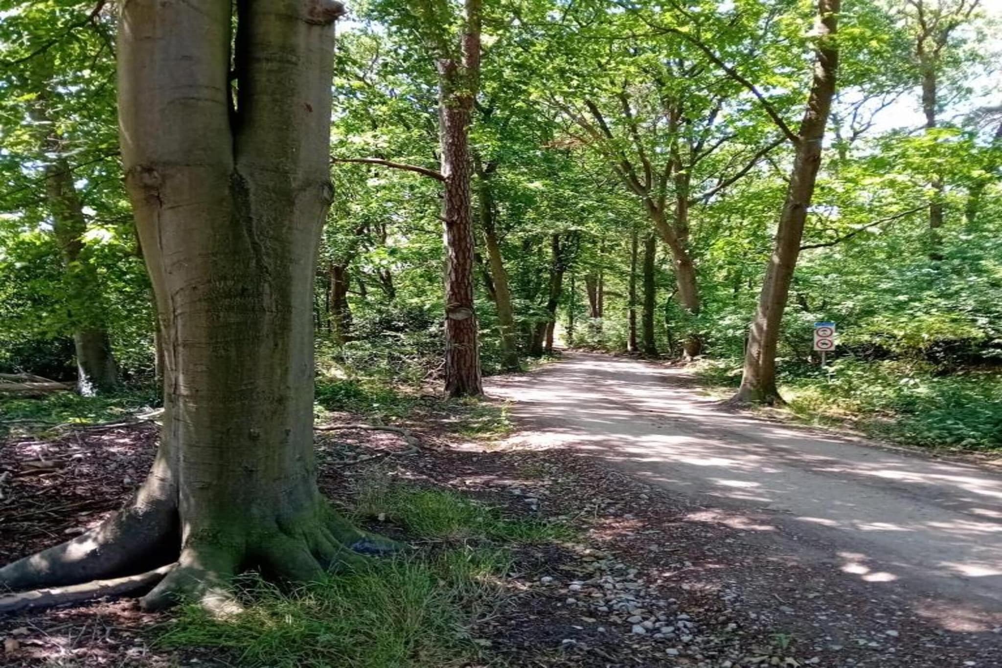 Residence de Eese 11-Gebieden zomer 20km