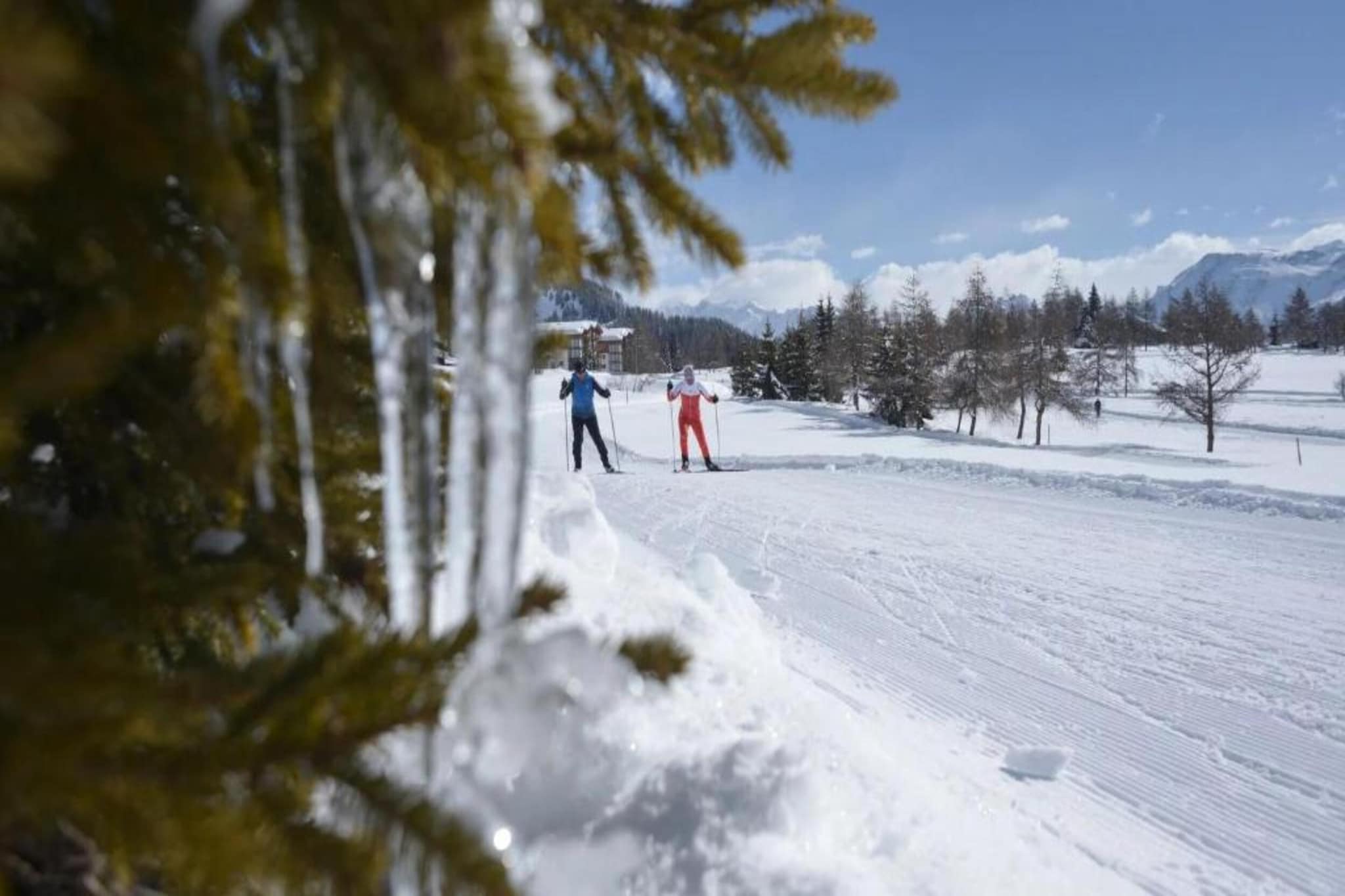 Chalet Rivendell-Gebied winter 20km