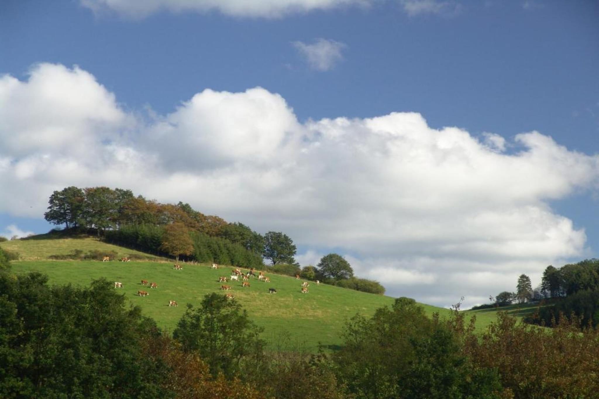 Sauerlandstuben-Areas summer 20km