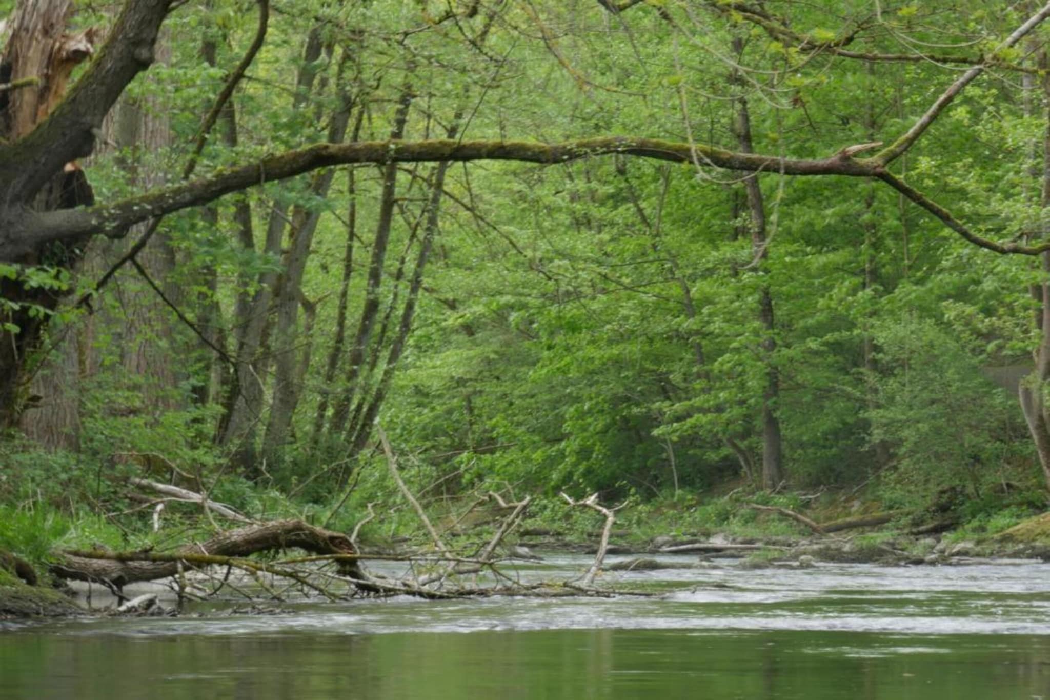 Sauerlandstuben-Areas summer 20km