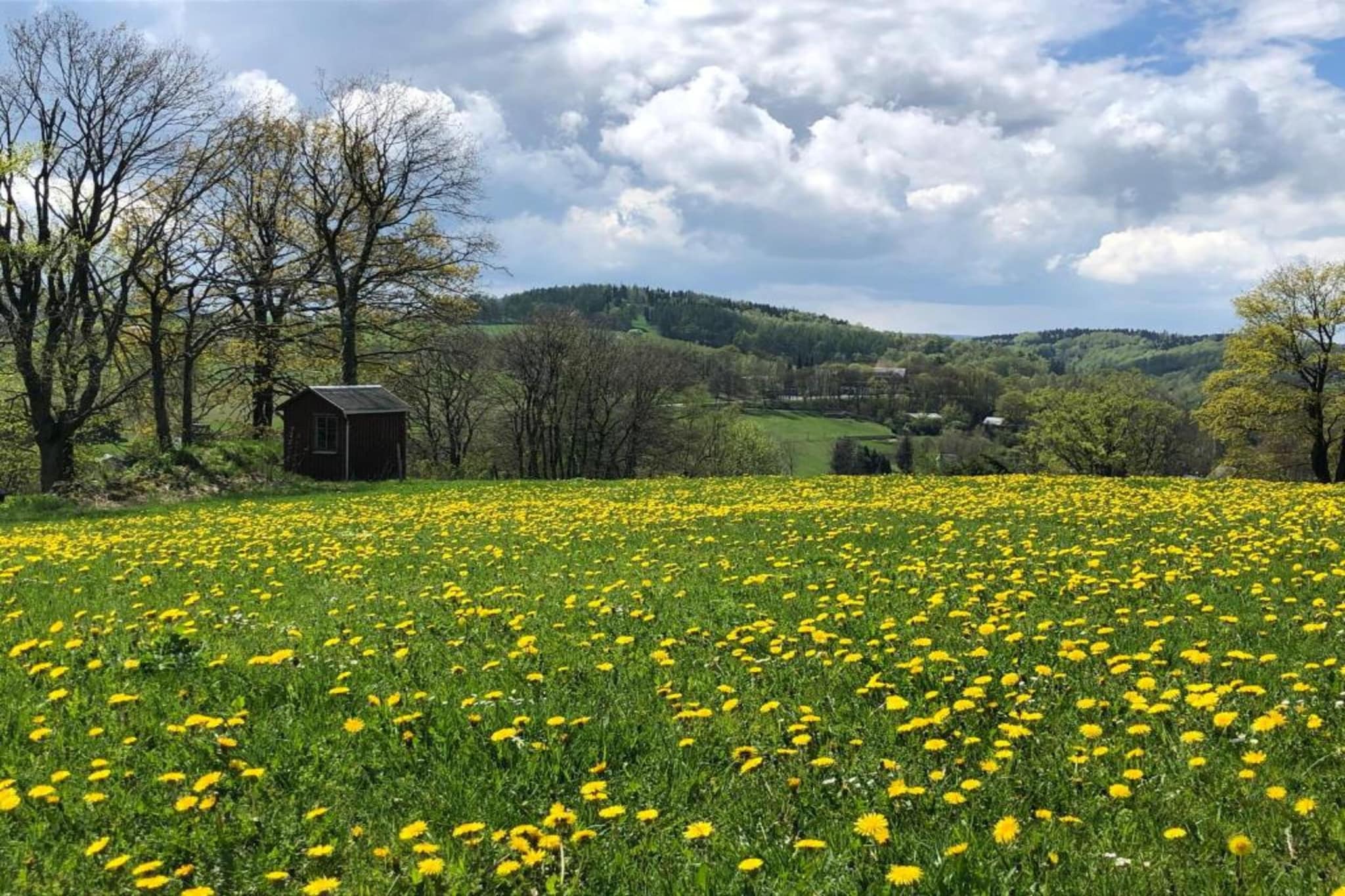 Sachsen-Gebieden zomer 20km
