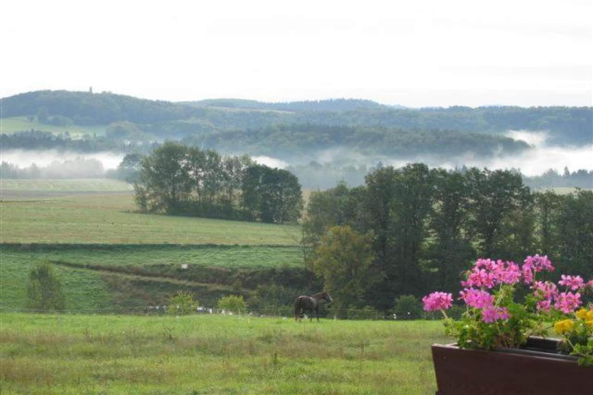 Sächsische Schweiz-Gebieden zomer 5km