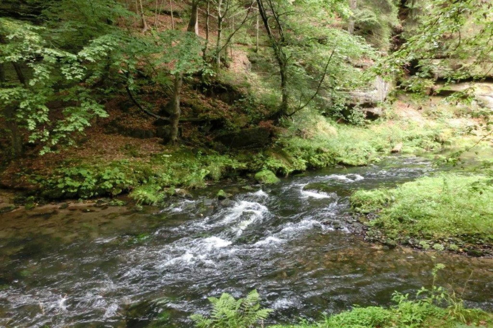 Sächsische Schweiz-Gebieden zomer 5km