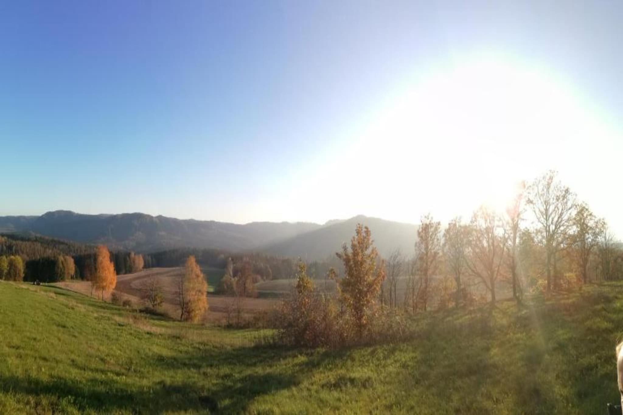Sächsische Schweiz-Gebieden zomer 5km