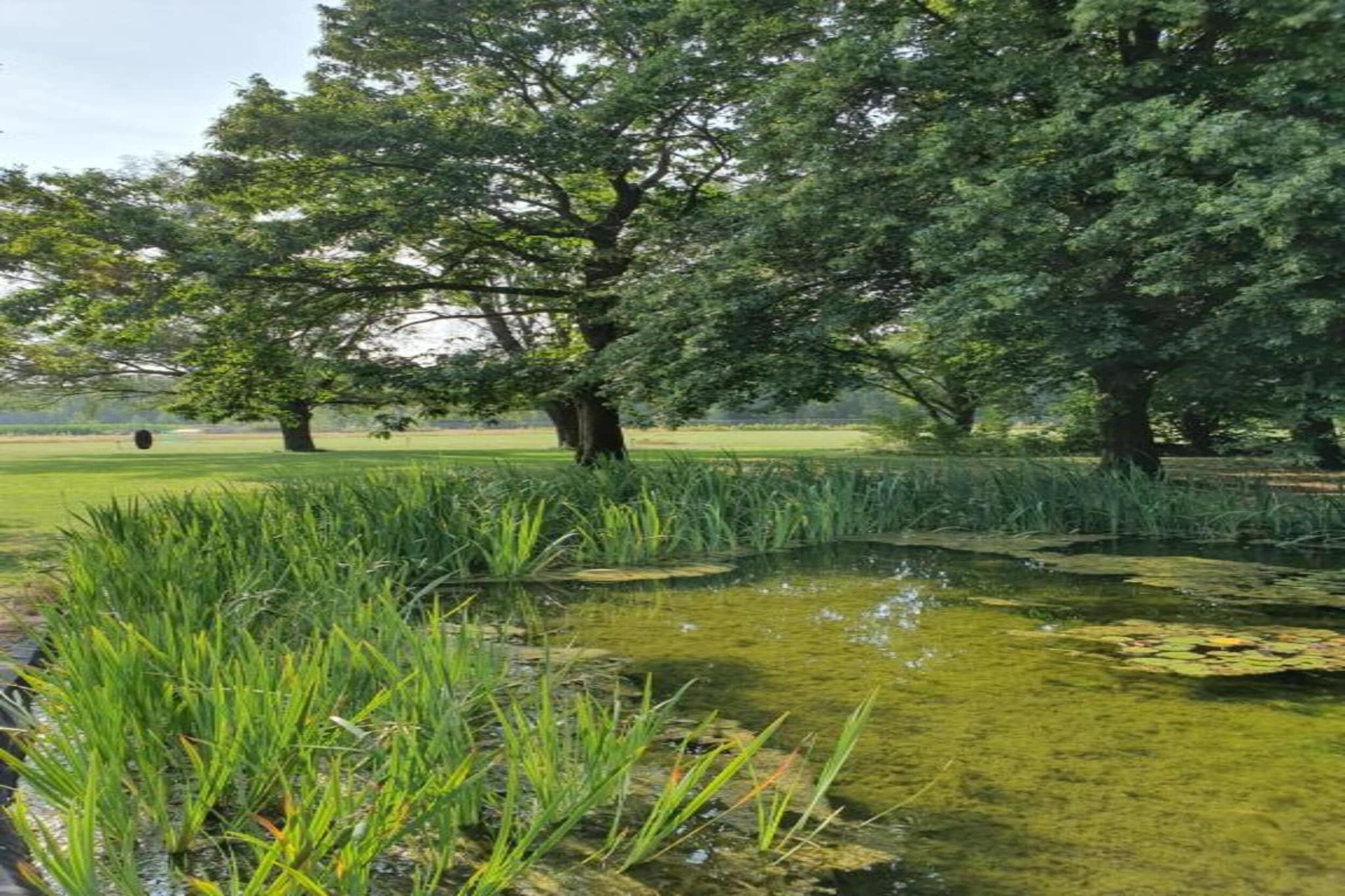 Parc de Kievit 3-Gebieden zomer 20km