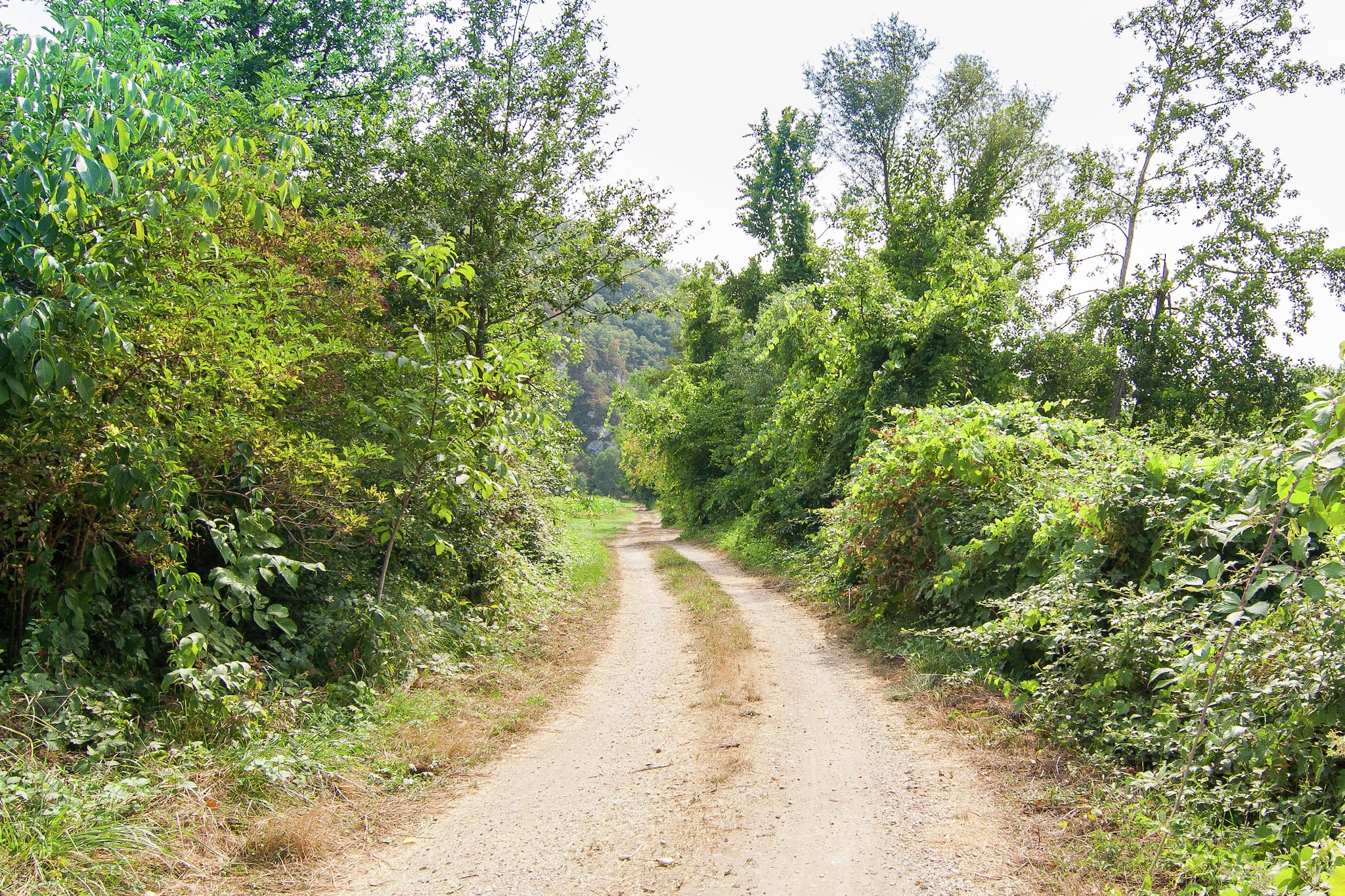 Belle Demeure Ribot 11 Pers-Gebiete Sommer 1 km