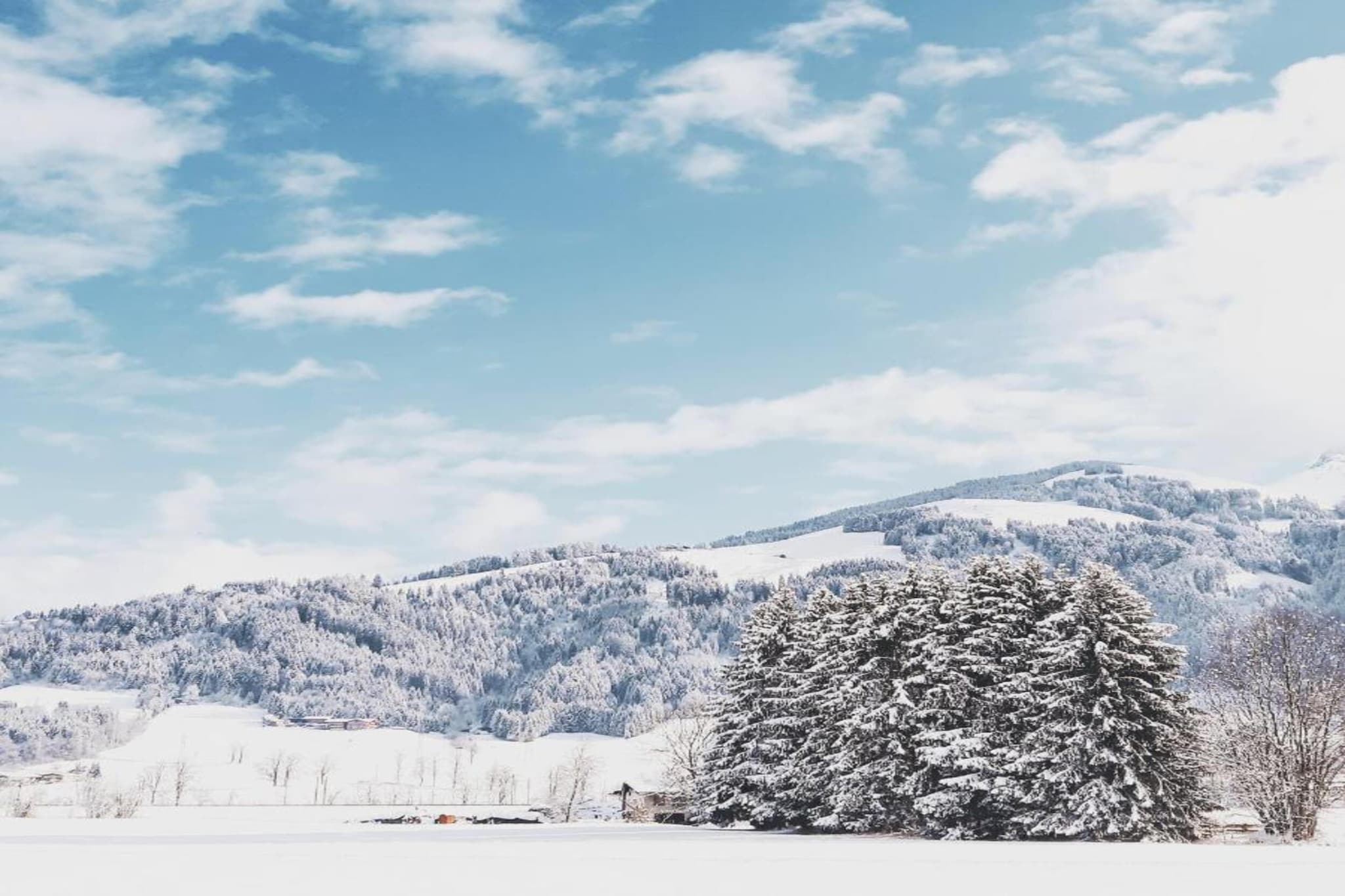 Haas-Gebied winter 20km
