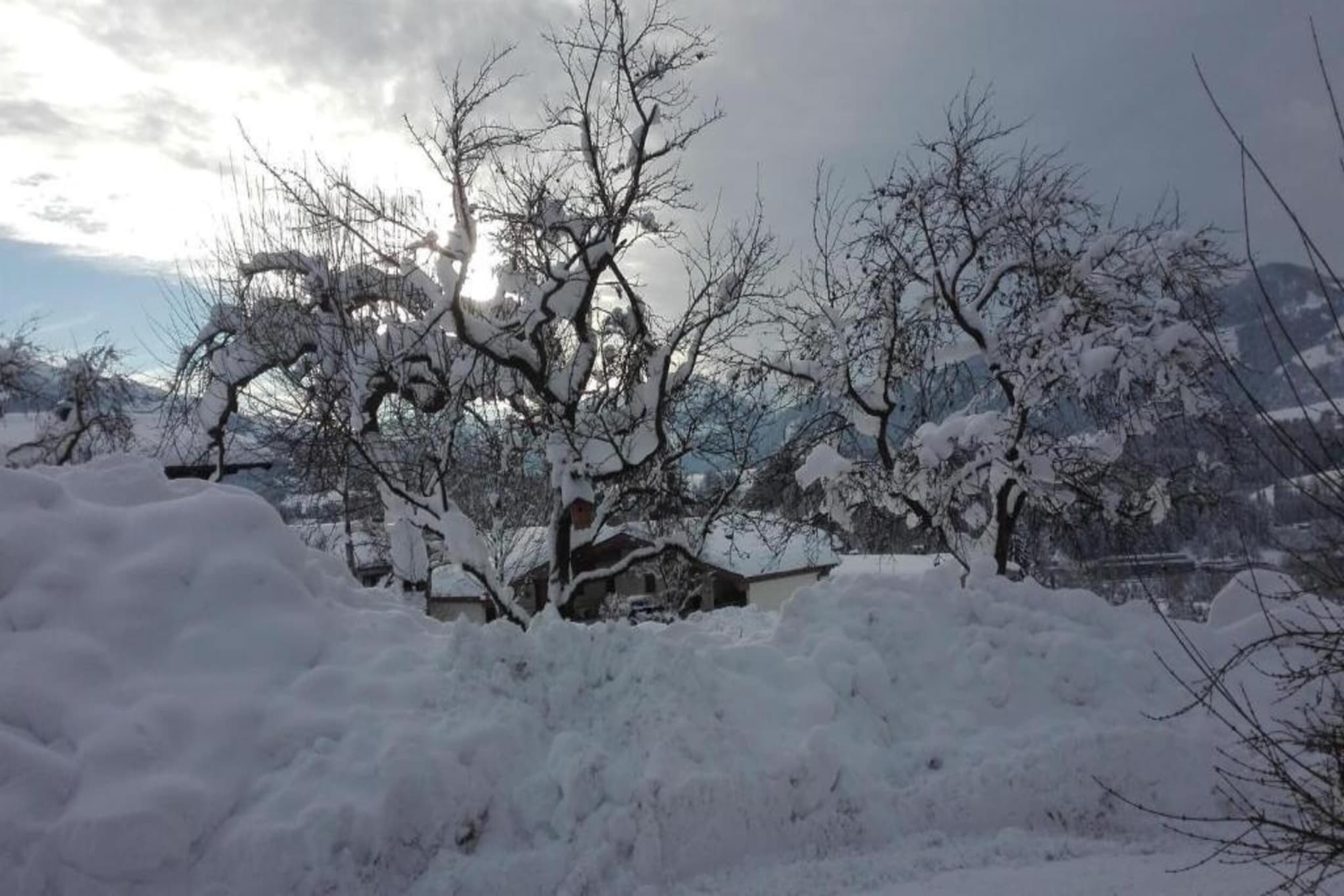 Haas-Gebied winter 20km