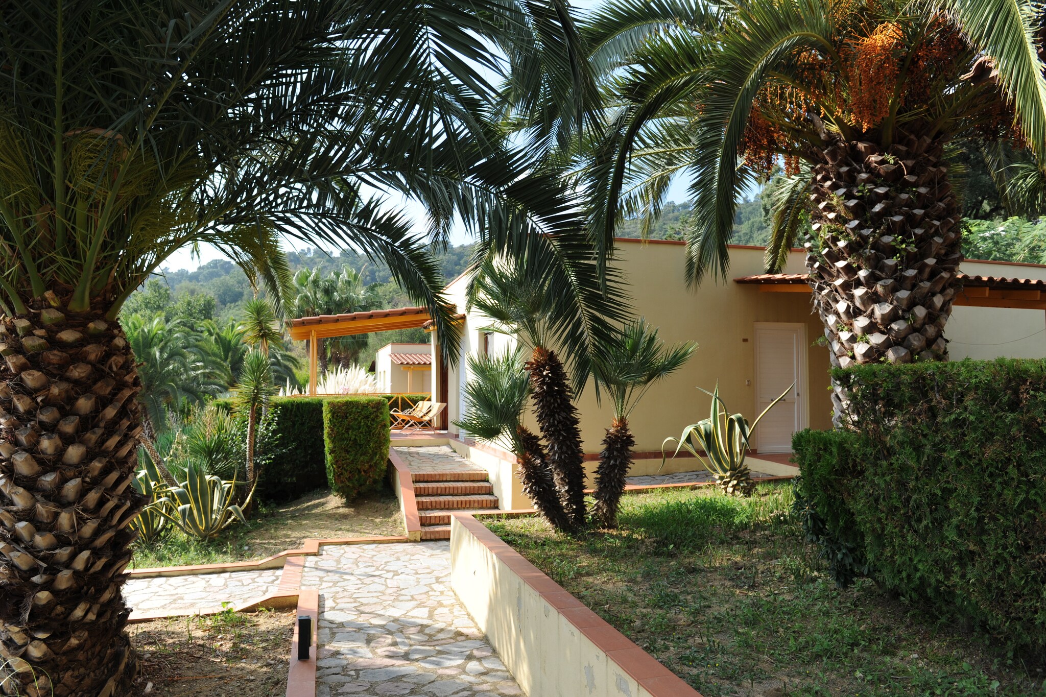 Garden Summer