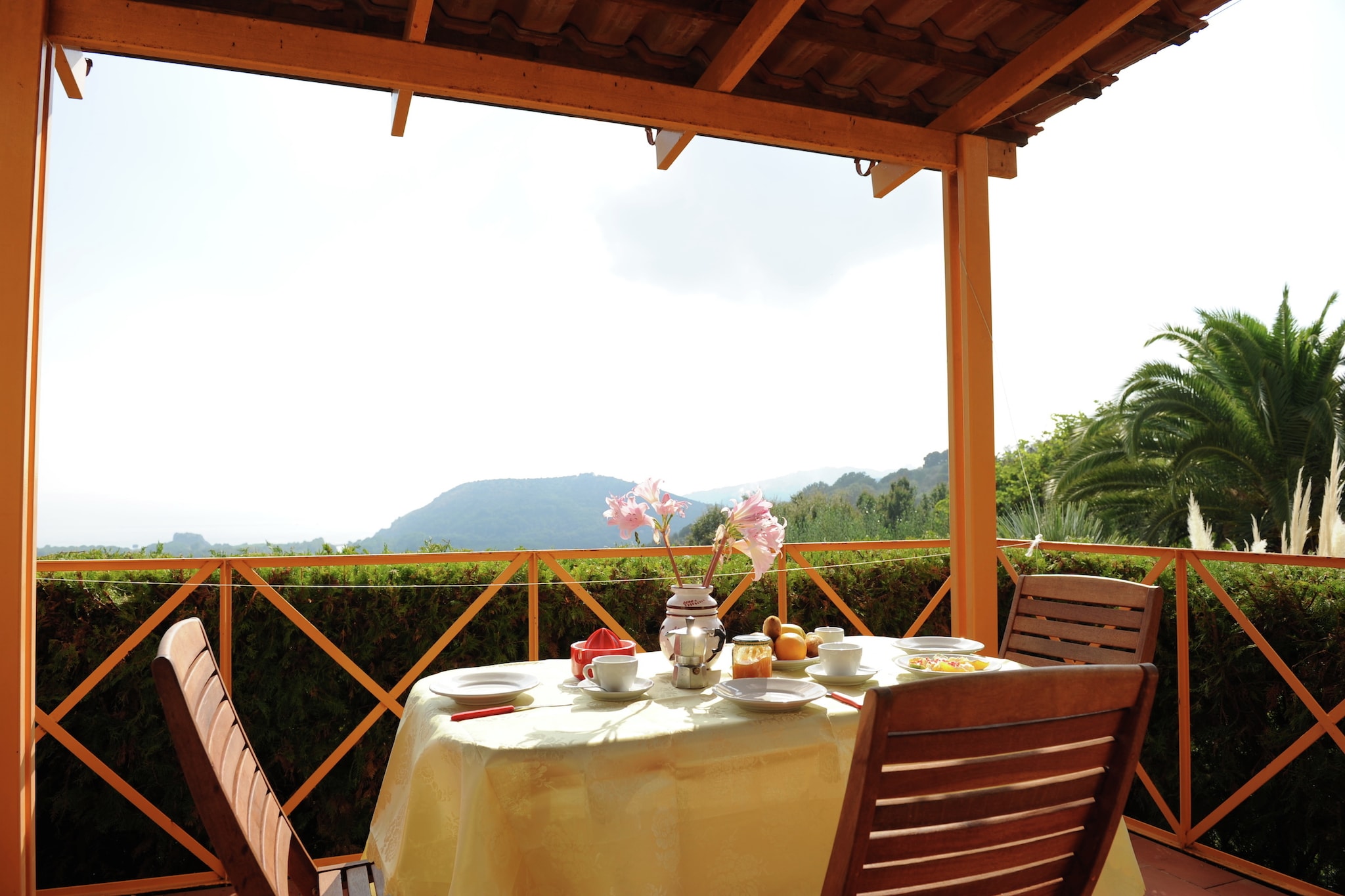 Terrace Balcony