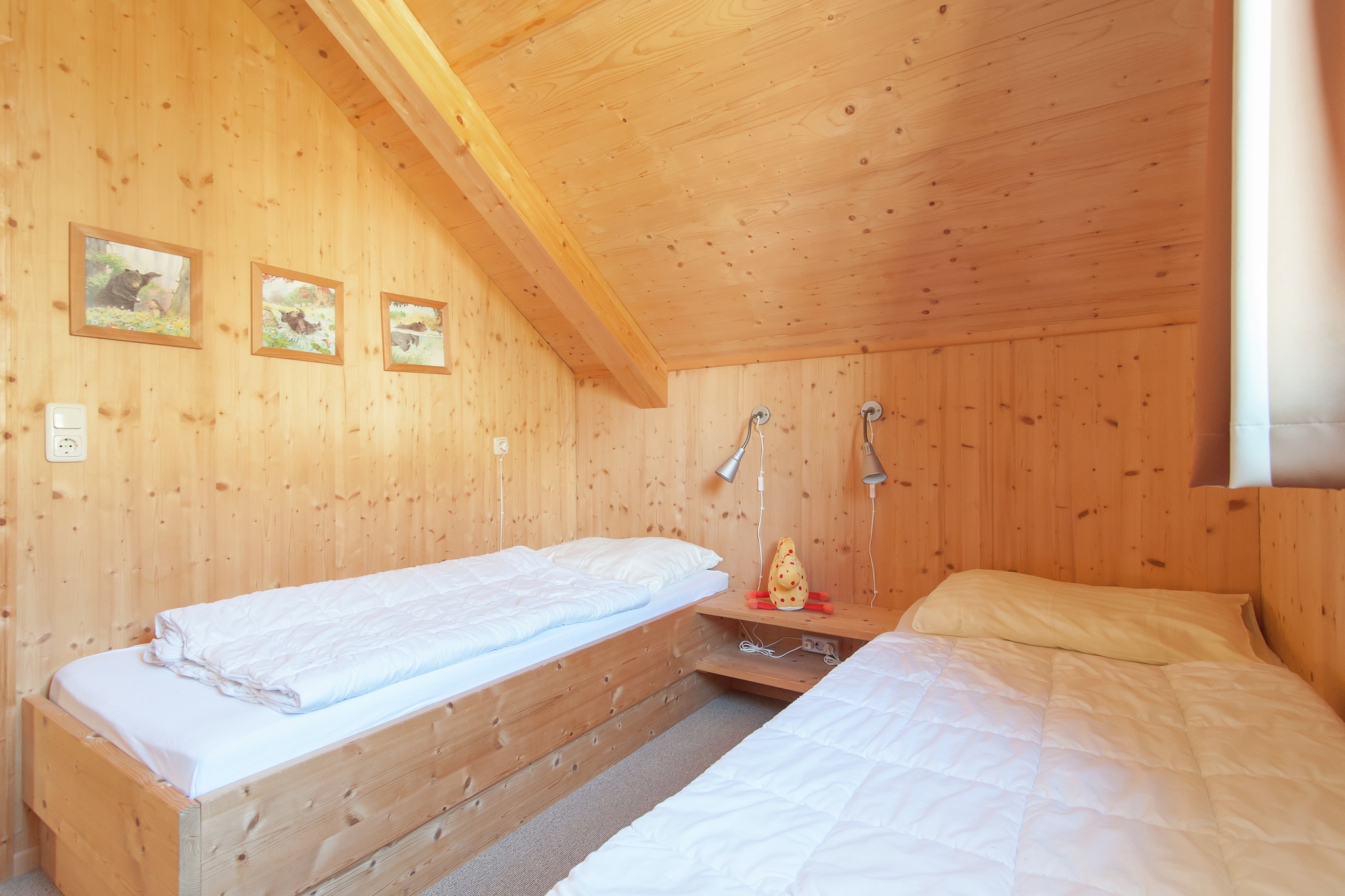 Charming chalet with terrace