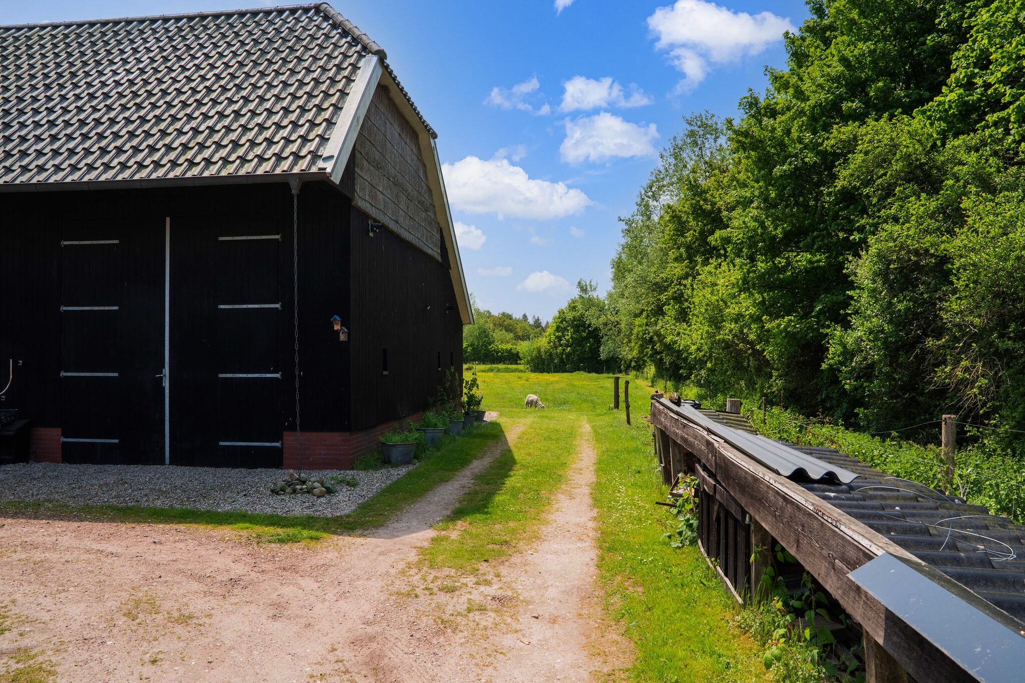 Heerlijke Cottage in nationaal park Dwingelderveld