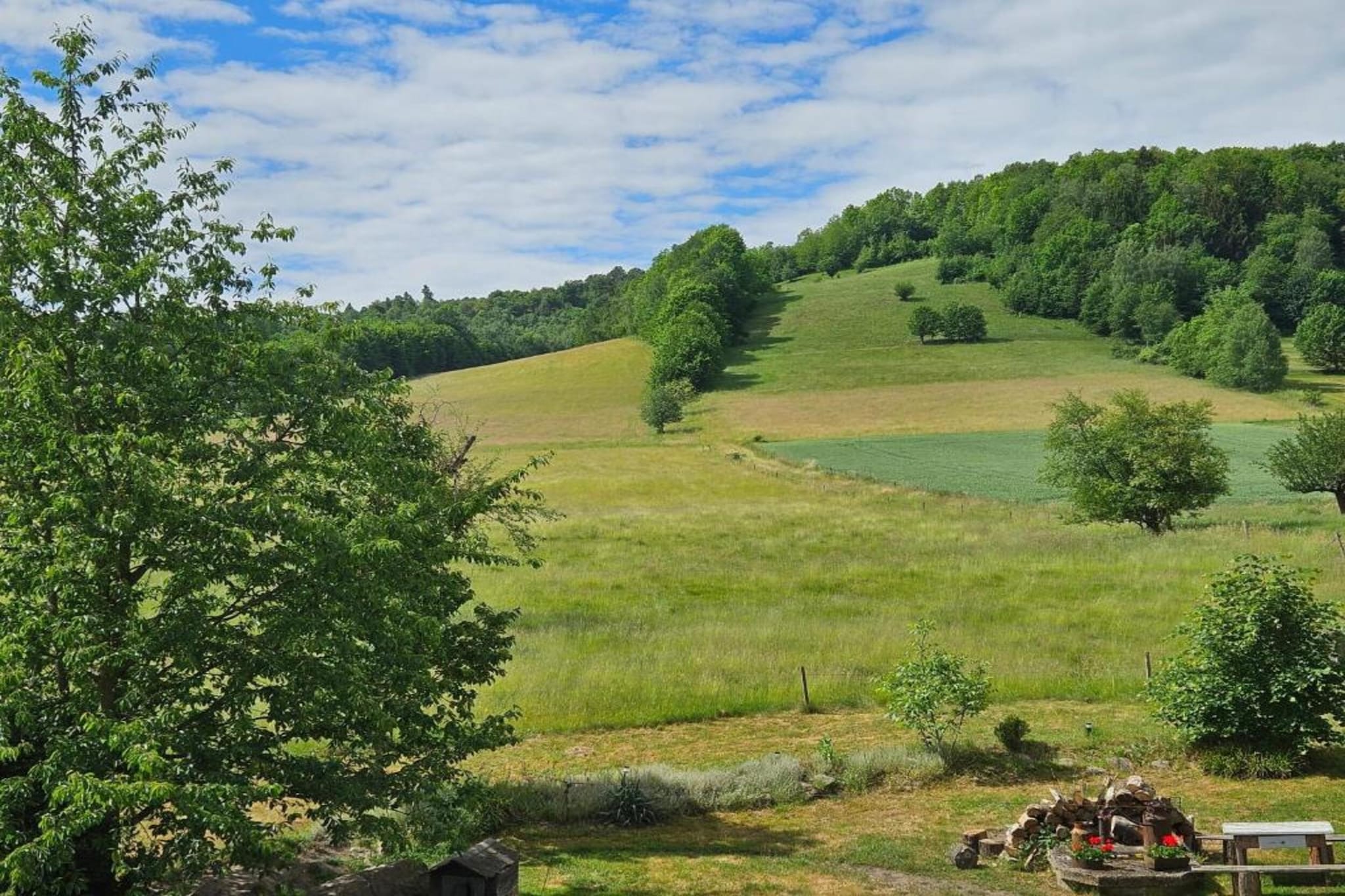 Dolina Bobru-Gebieden zomer 5km