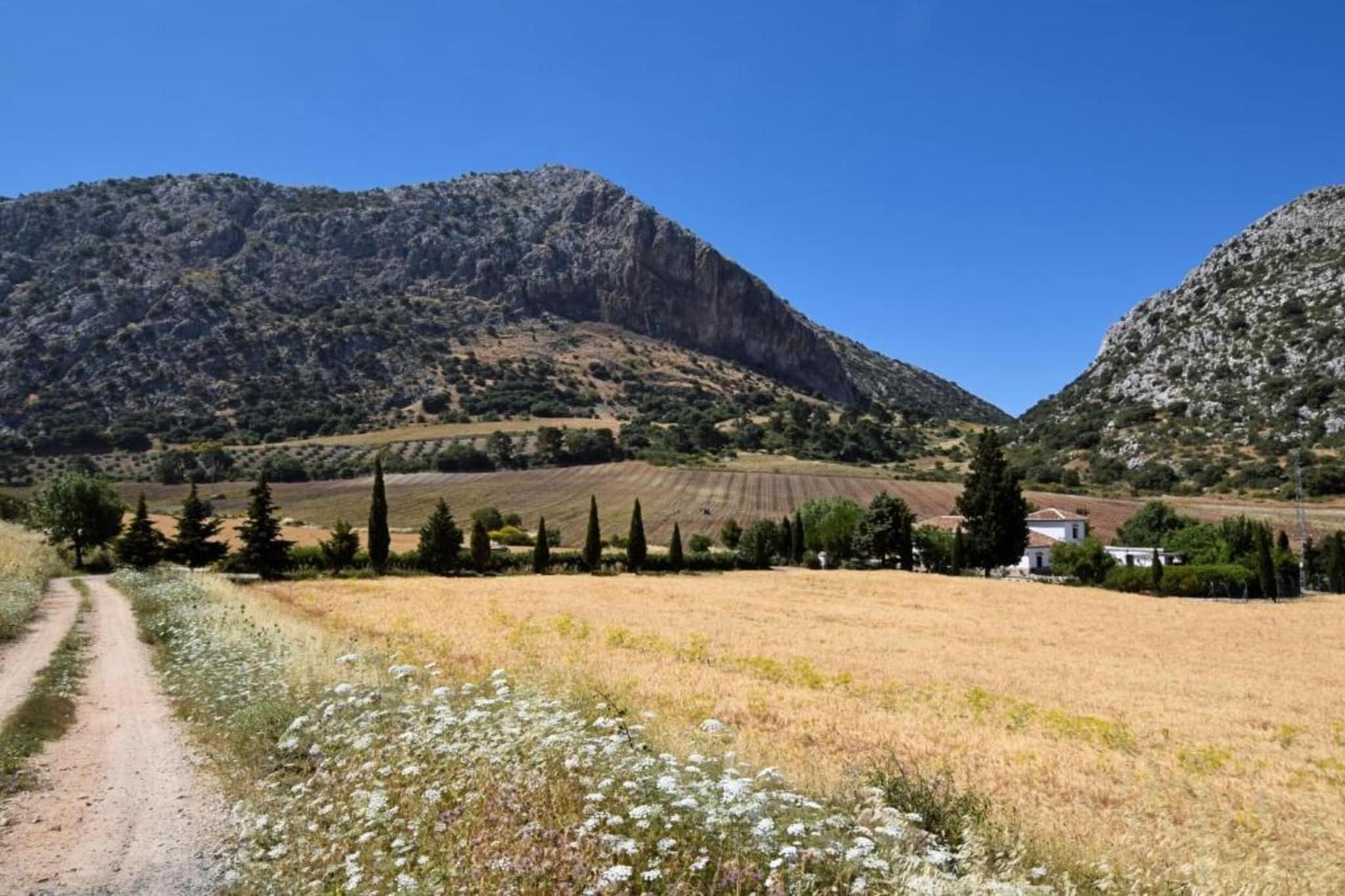 Cortijo Los Alazores-Gebieden zomer 5km