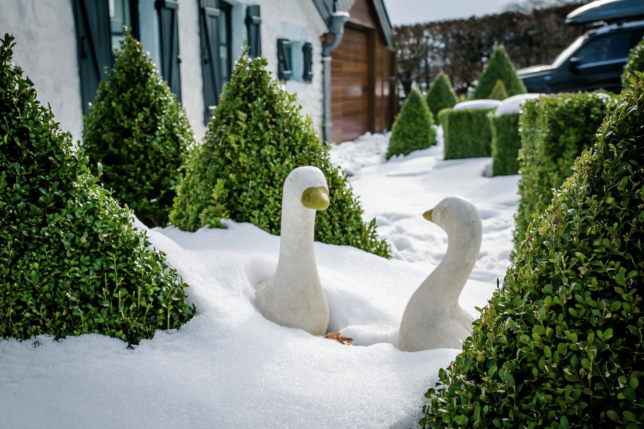 Les Oies-Garten Winter