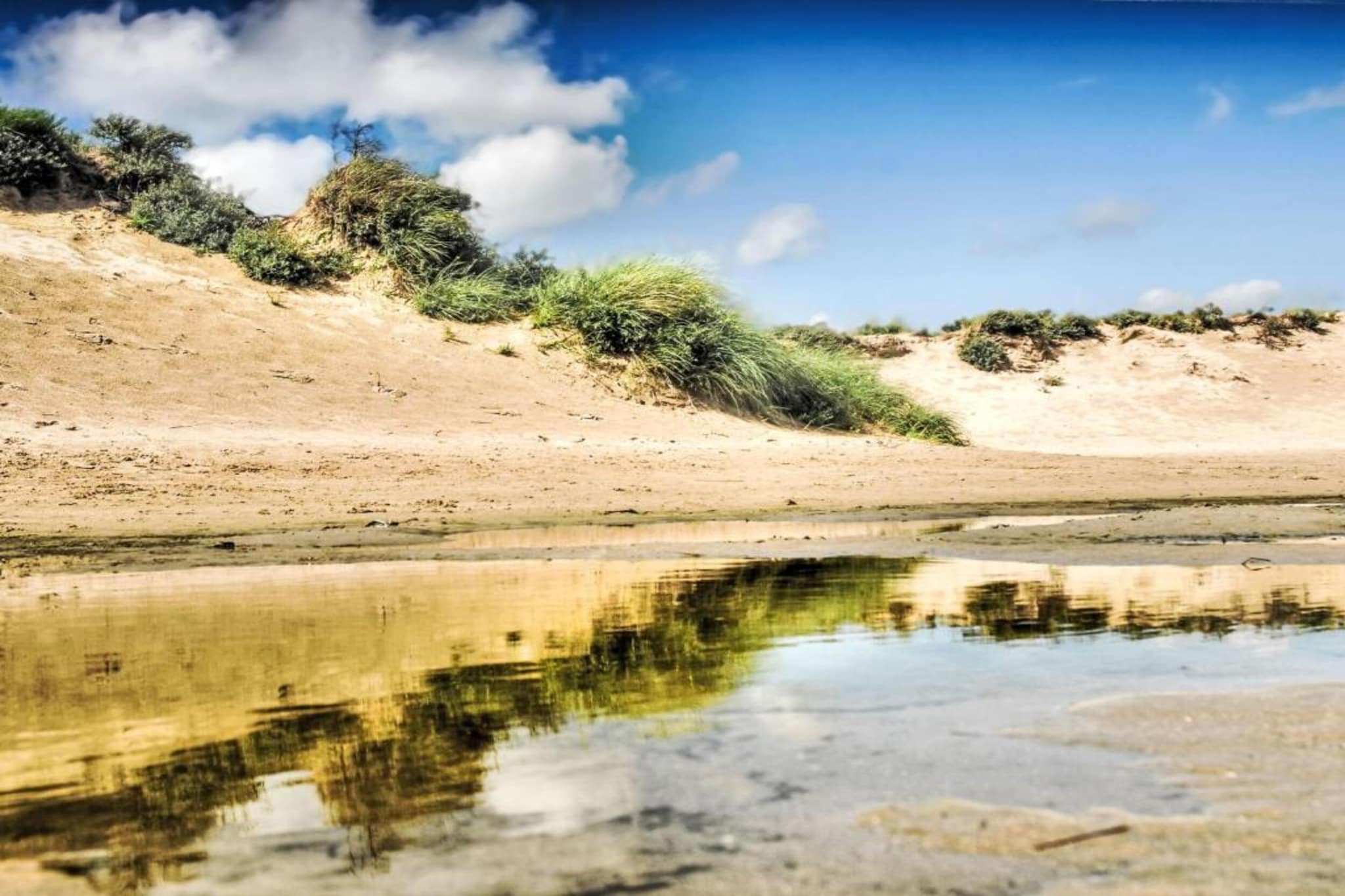 Bungalowpark 't Lappennest 2-Gebieden zomer 5km