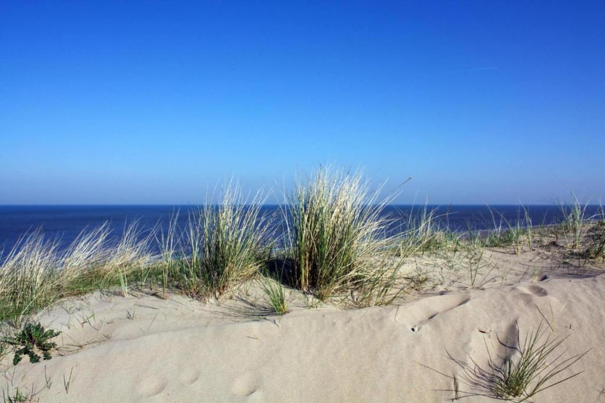 Bungalowpark 't Lappennest 2-Gebieden zomer 5km