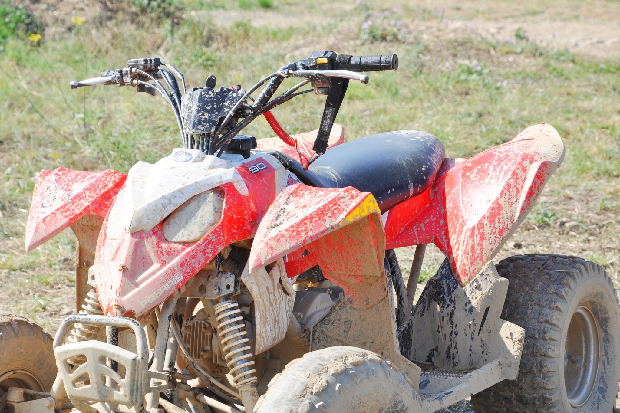 Villa Le Houga-Ambiente