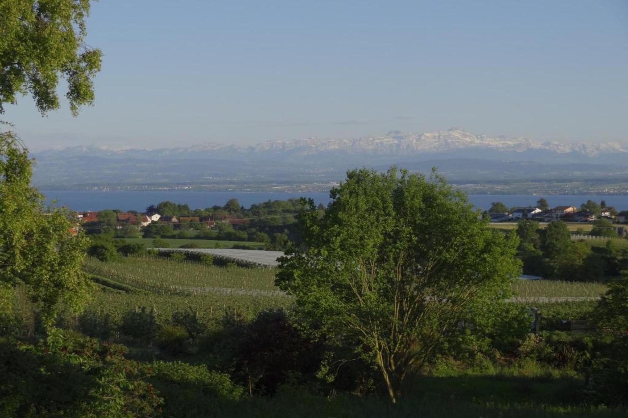 Am Bodensee-Gebieden zomer 20km