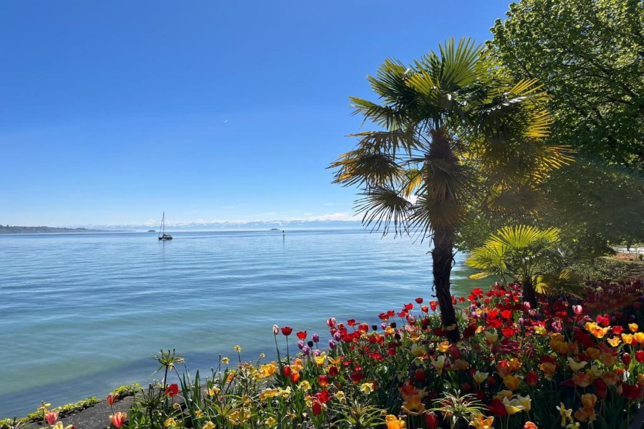 Am Bodensee-Gebieden zomer 20km
