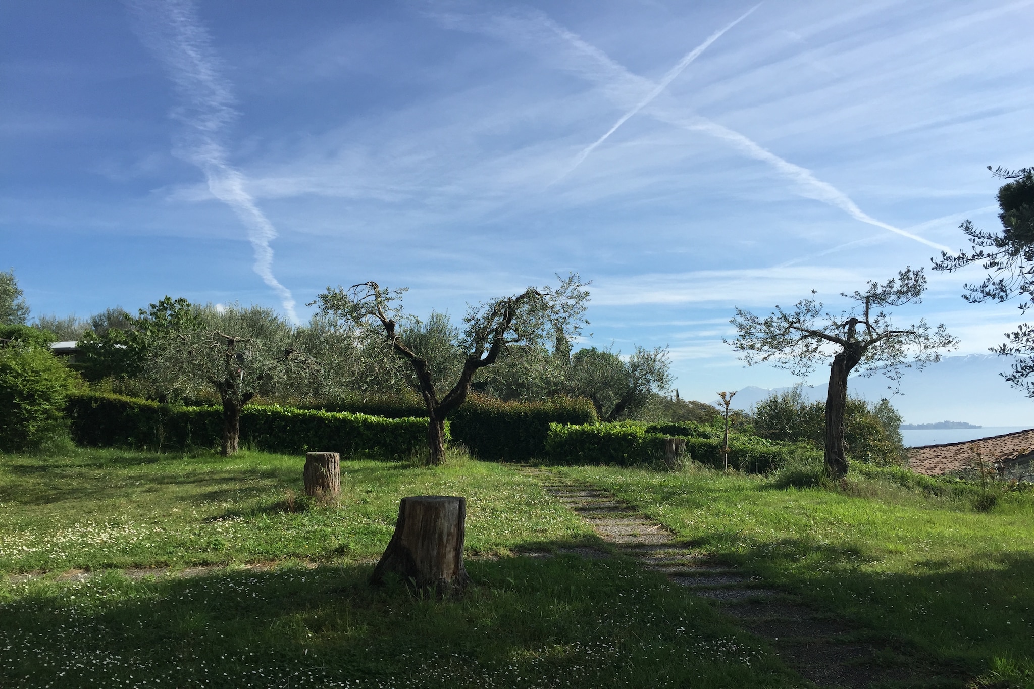 Le Villette 8321-Jardins en été