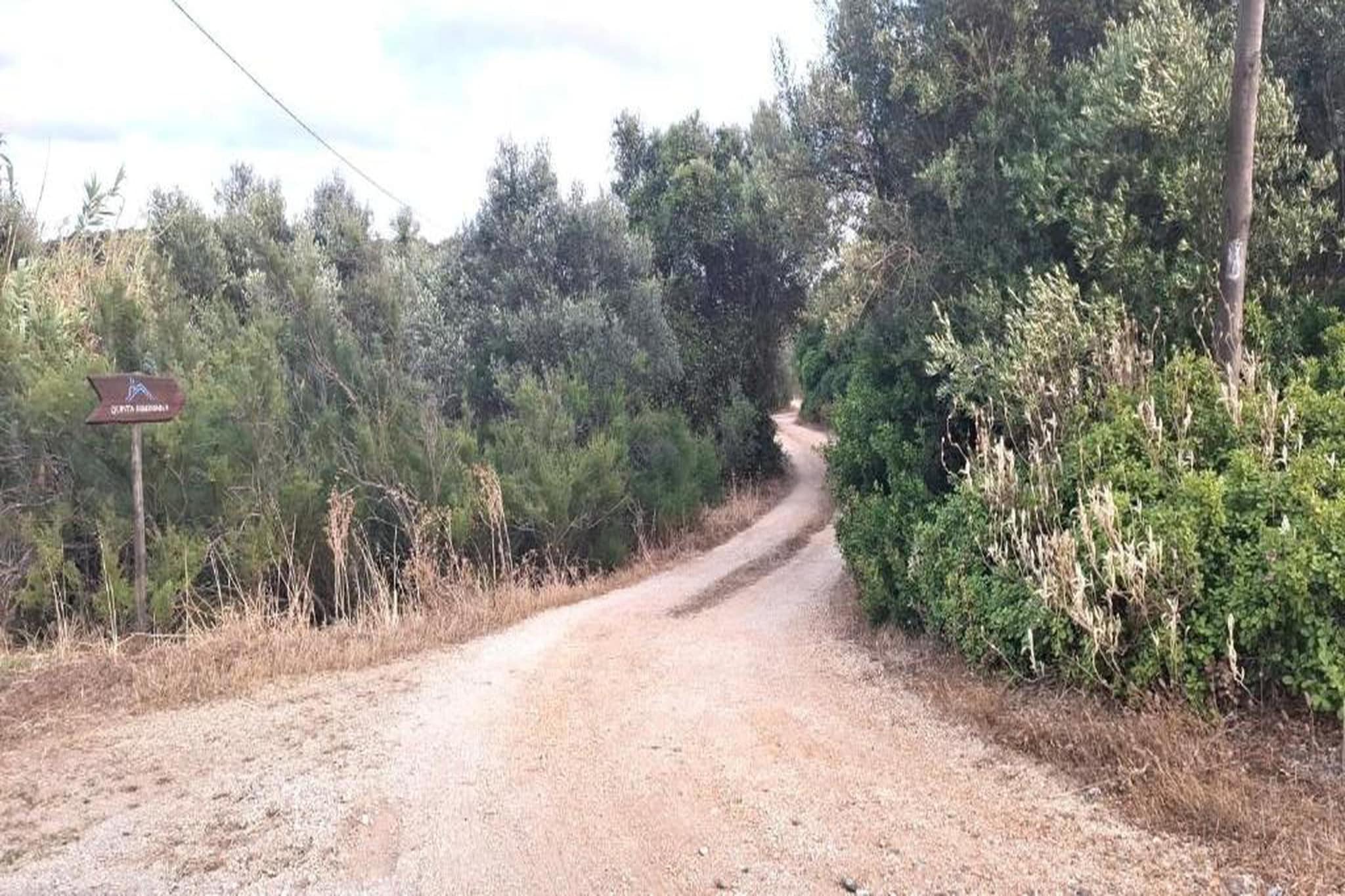 Quinta Velha-Gebieden zomer 20km