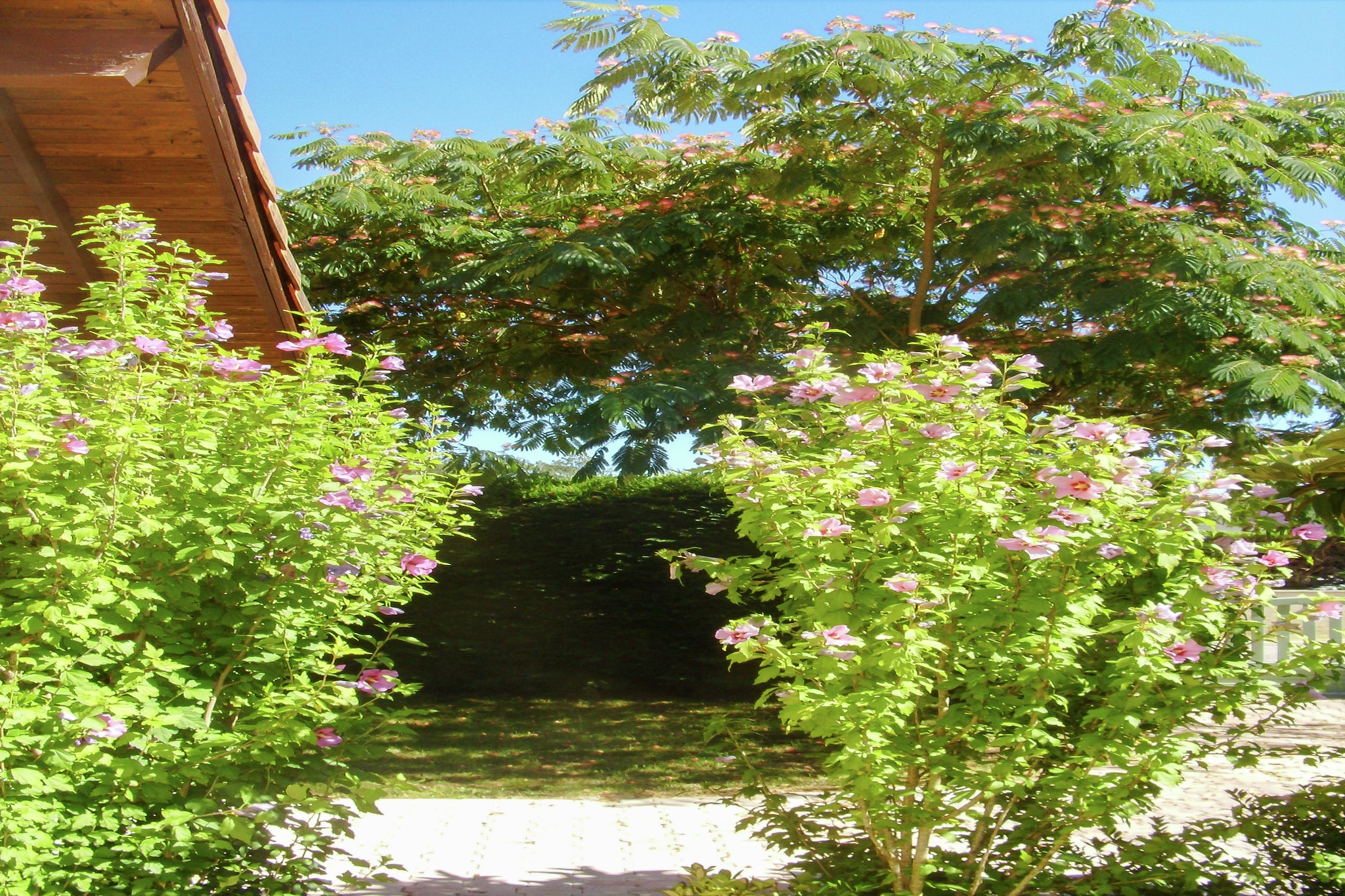 Maison Austine - Tuinen zomer