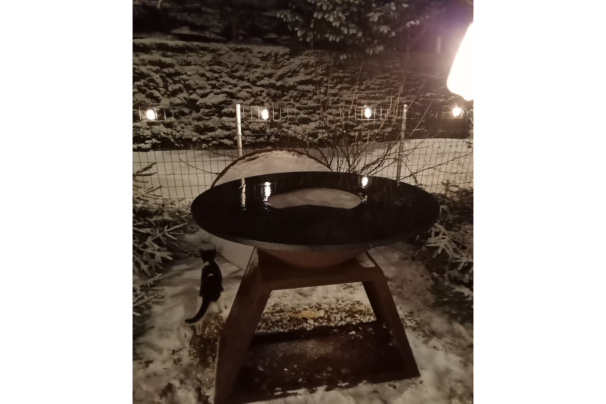 Maquis du cerf-Ambiance