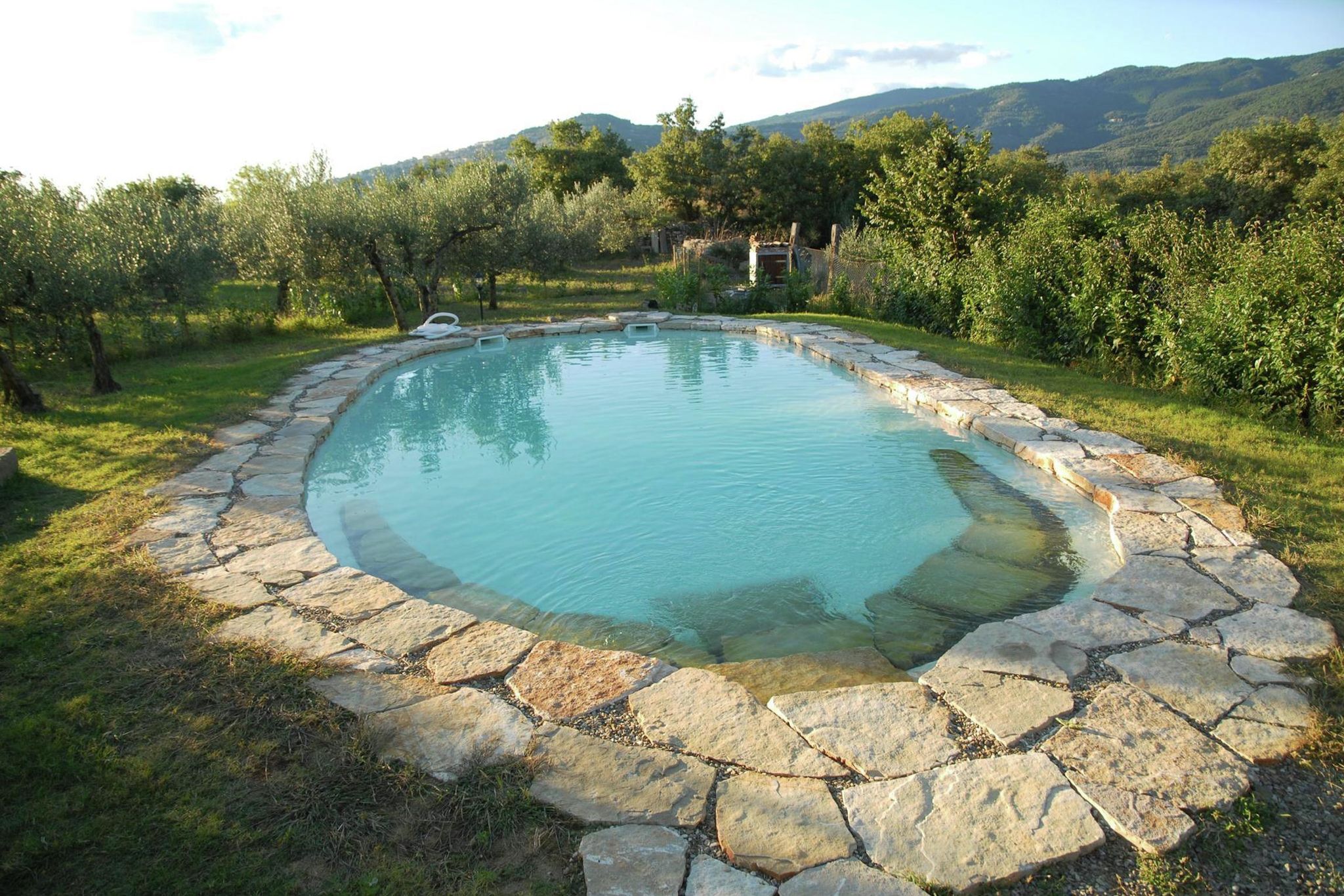 Uitzicht over Cortona, privé zwembad, omgeven door olijbomen, persoonlijke stijl