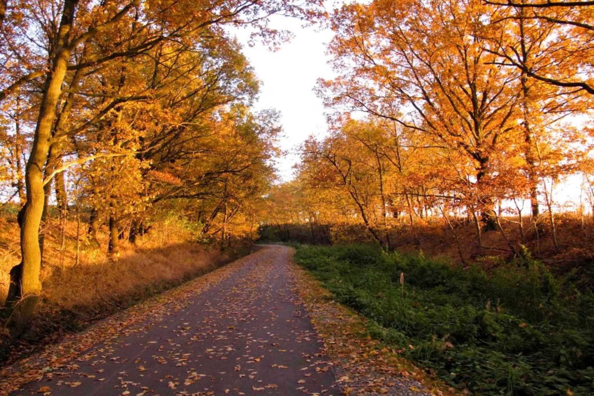 Vogtland-Gebiete Sommer 20 km