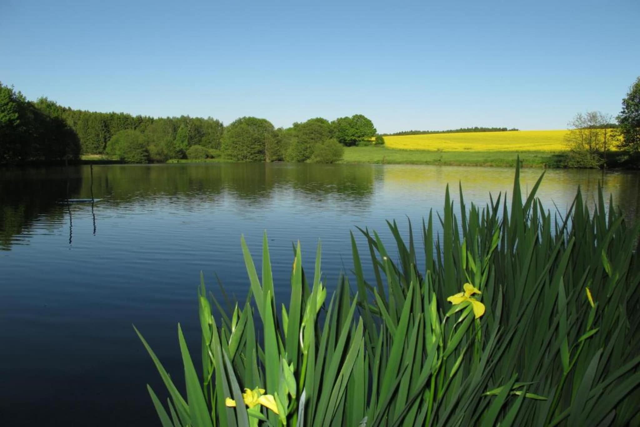 Vogtland-Gebiete Sommer 20 km