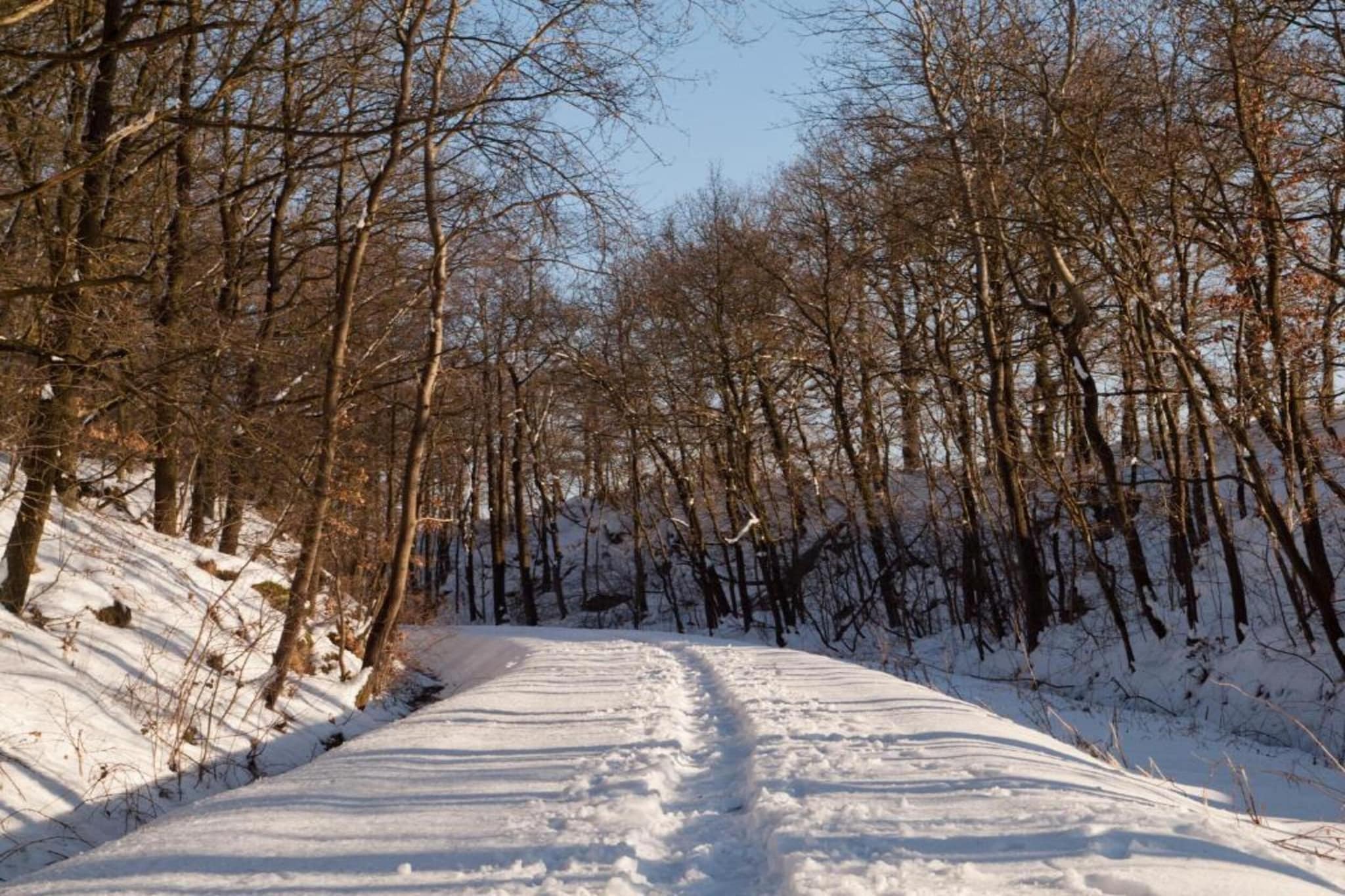 Vogtland-Gebiet Winter 20 km