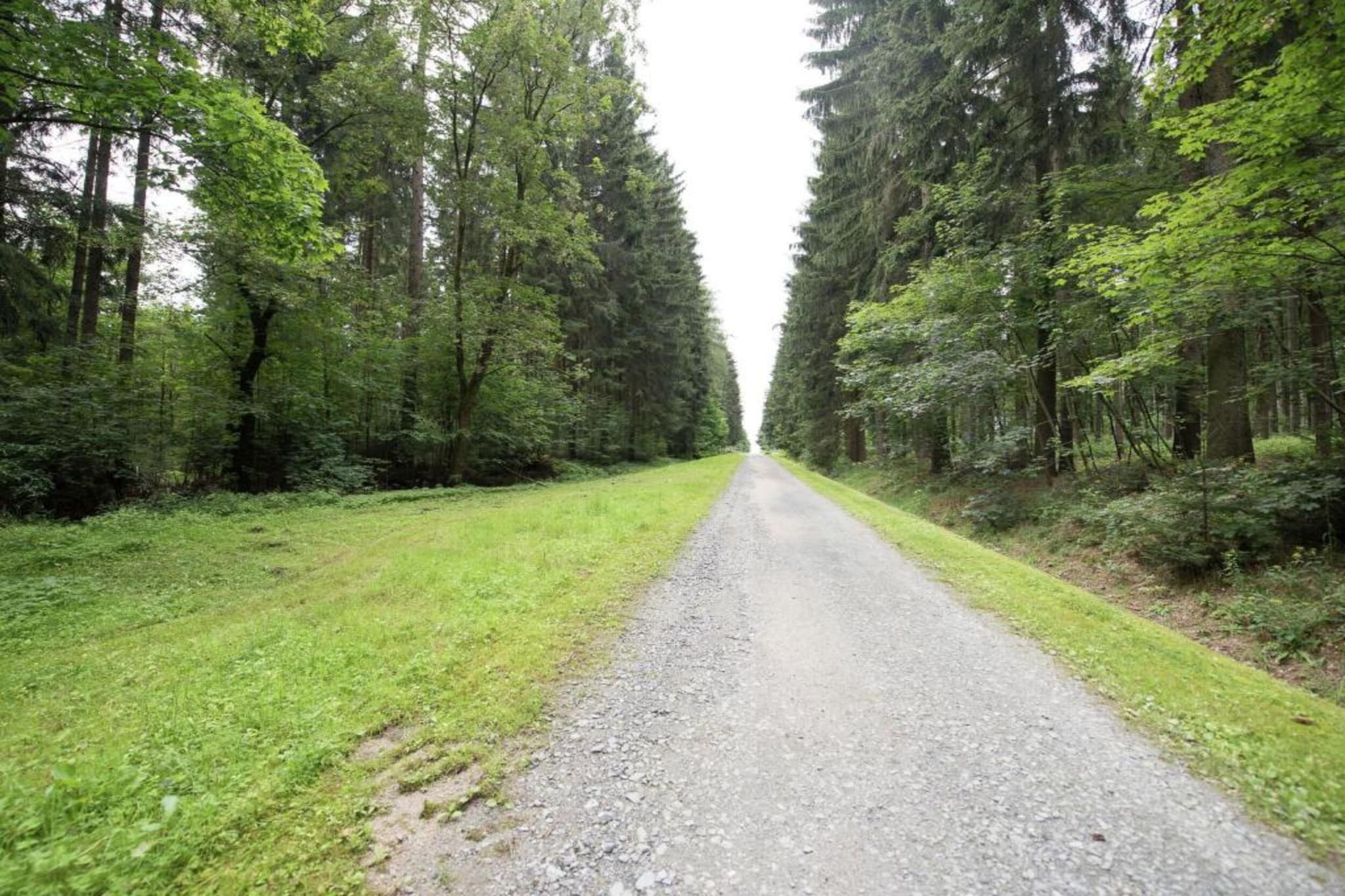 Vogtland-Gebiete Sommer 20 km