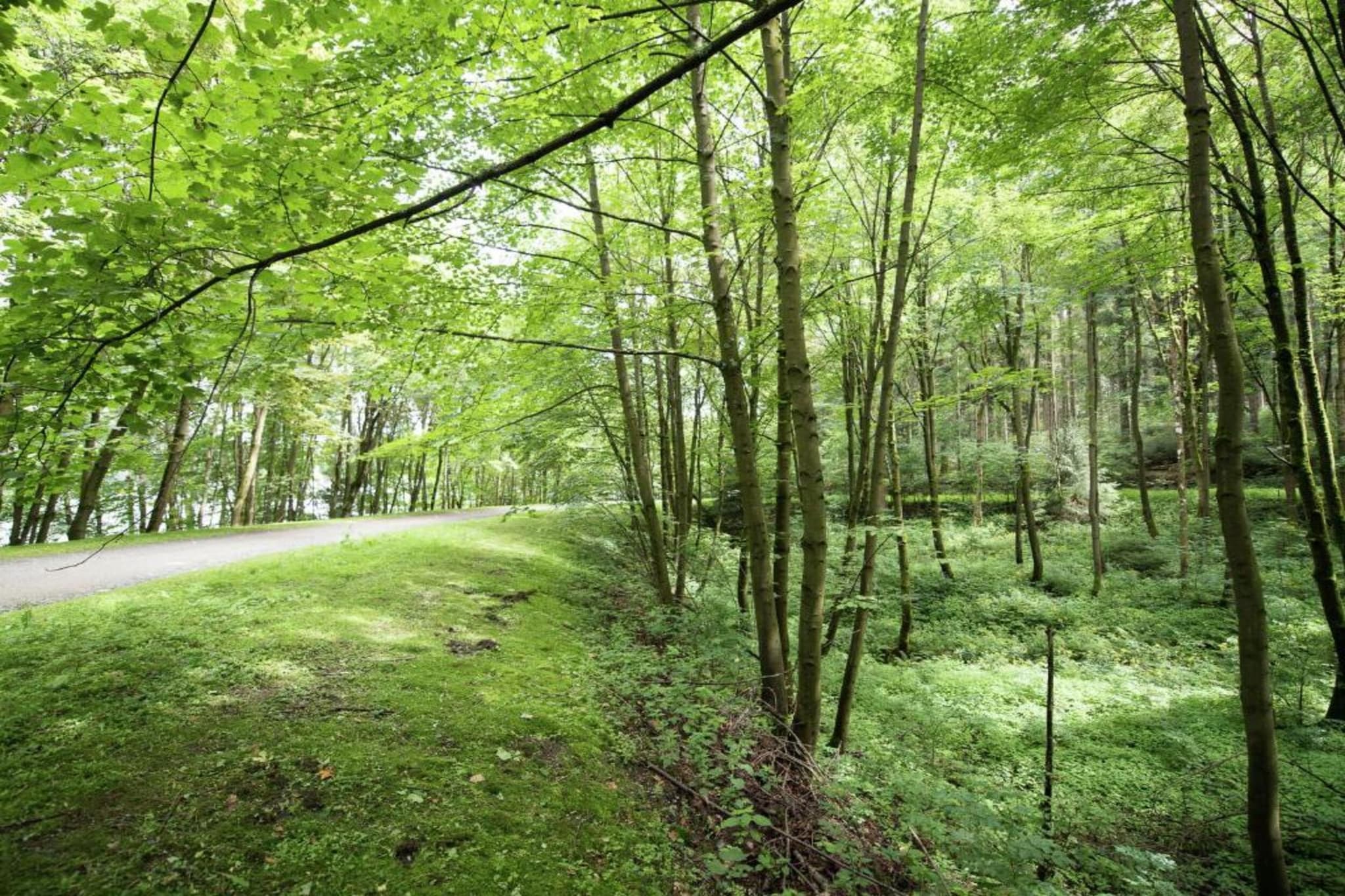 Vogtland-Gebiete Sommer 20 km