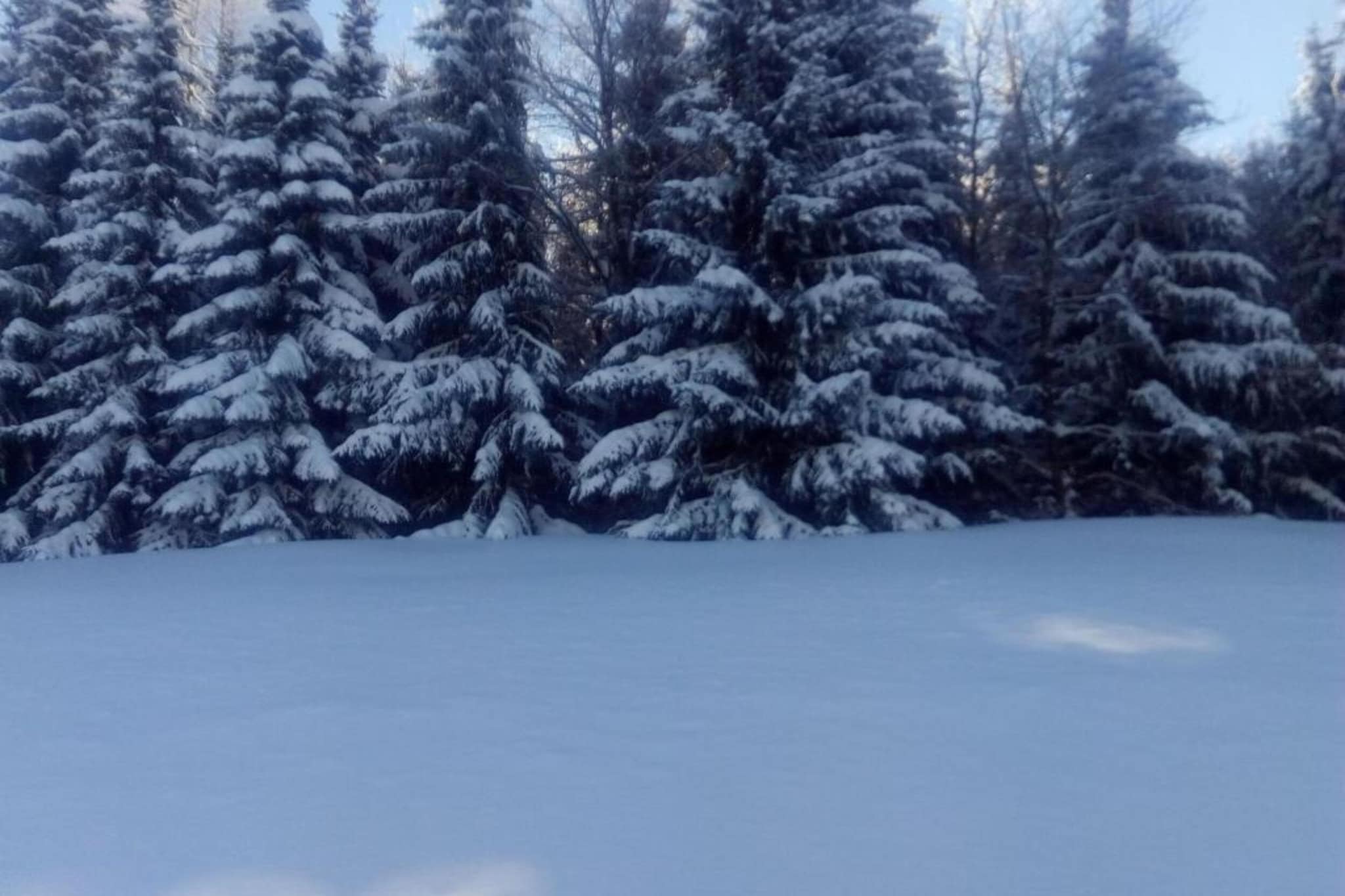 Vogtland-Gebiet Winter 20 km