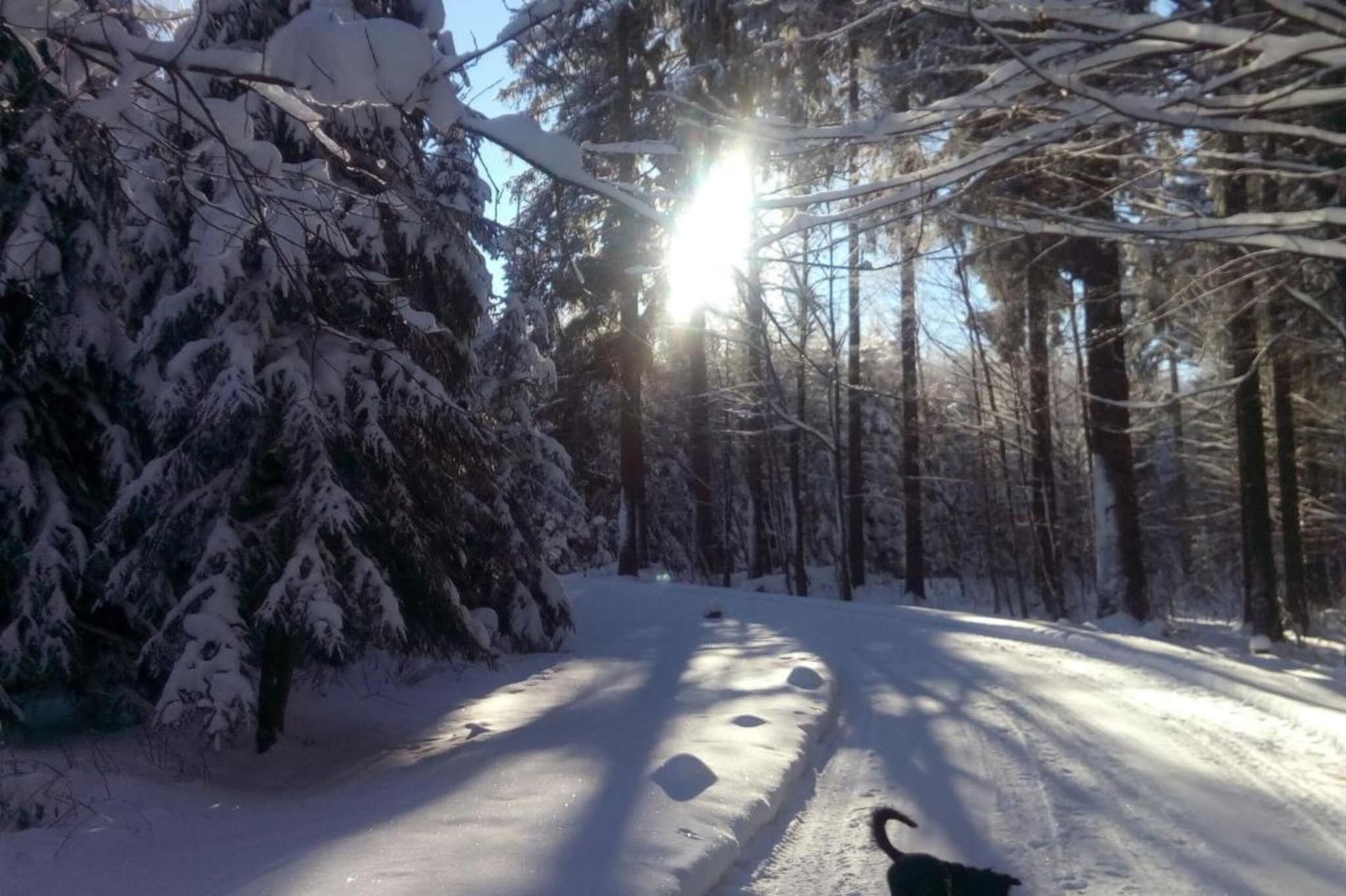 Vogtland-Gebiet Winter 20 km